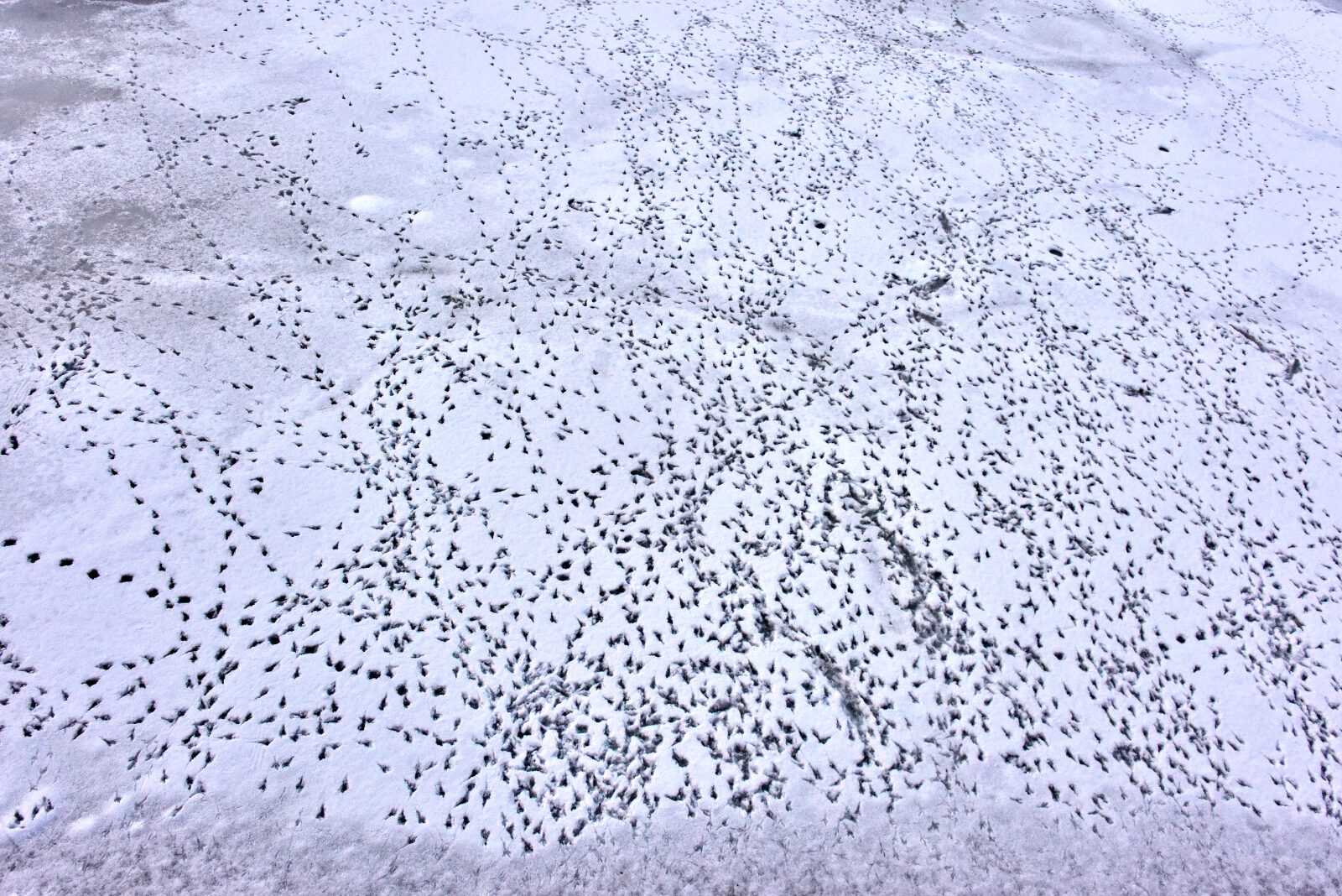 Valokuvaaja: Reijo Juurinen