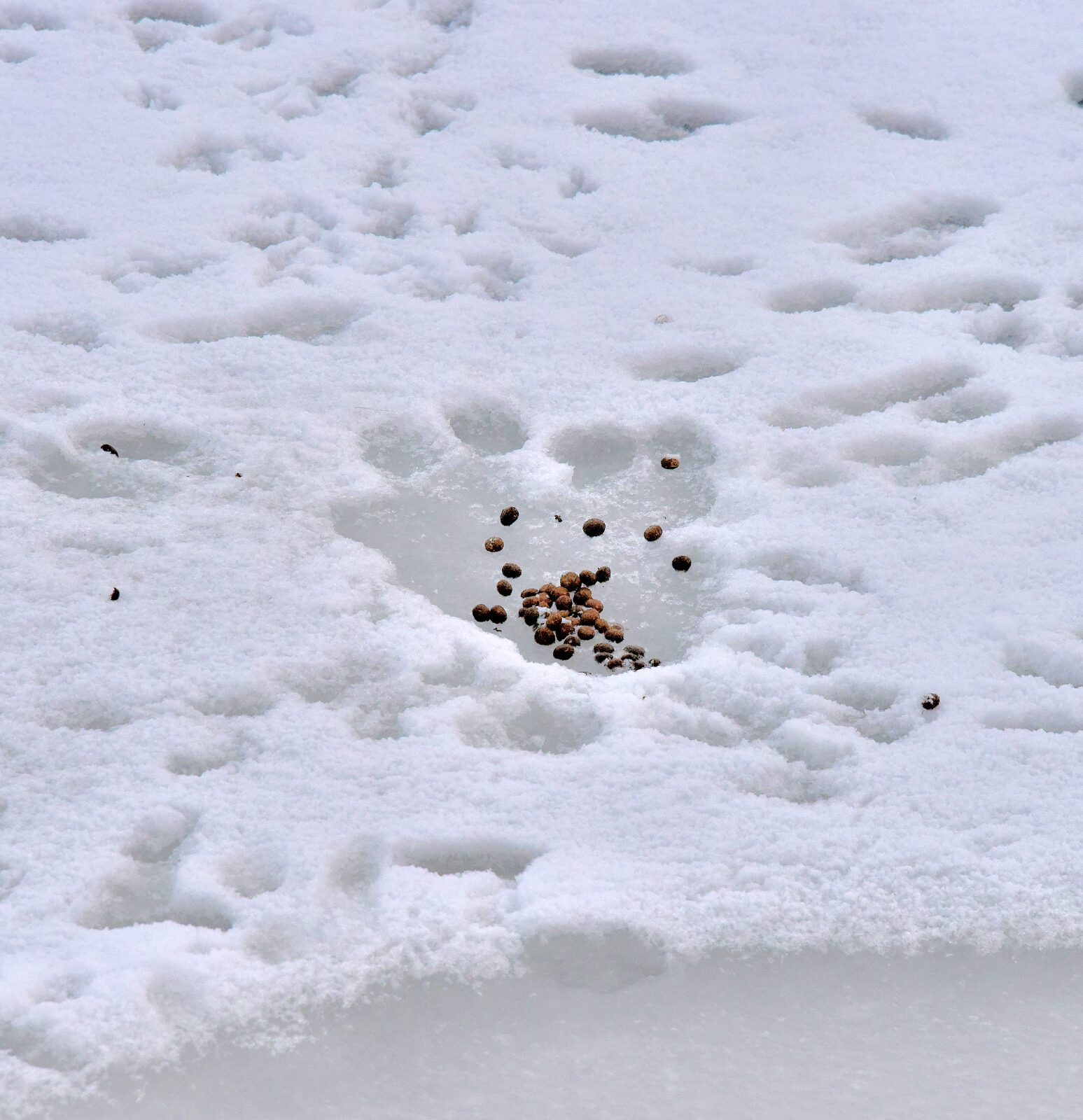 Valokuvaaja: Reijo Juurinen Valokuvaaja: Reijo Juurinen