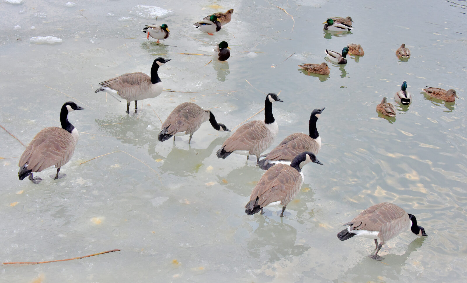 Valokuvaaja: Reijo Juurinen