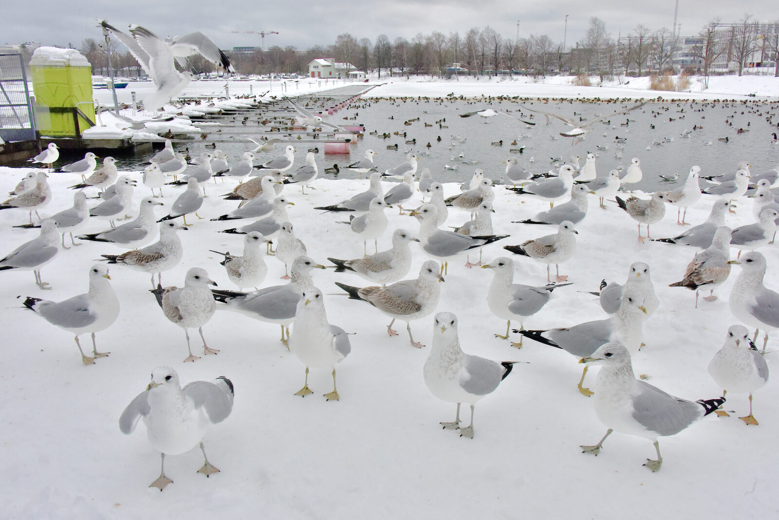 Valokuvaaja: Reijo Juurinen