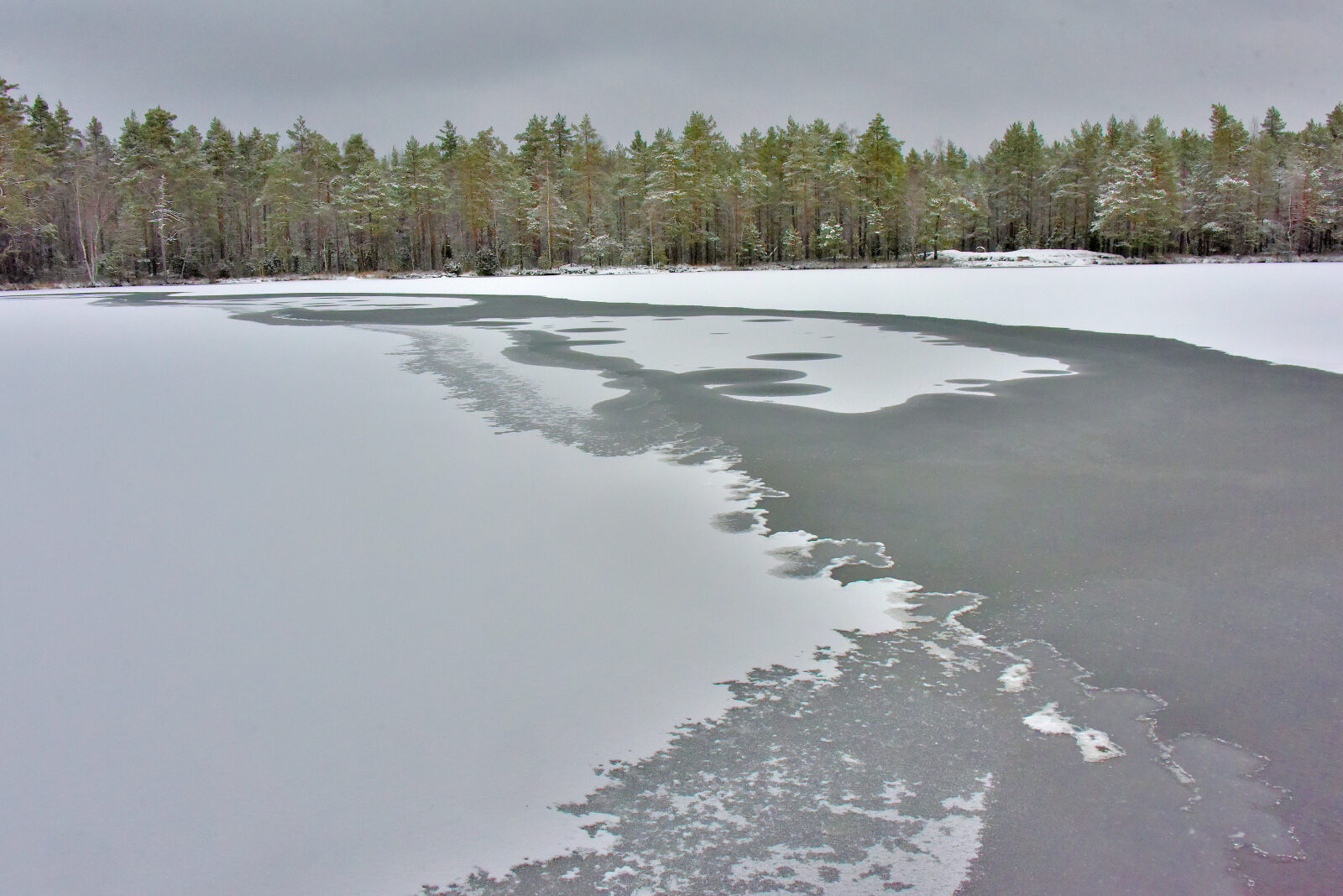 Valokuvaaja: Reijo Juurinen