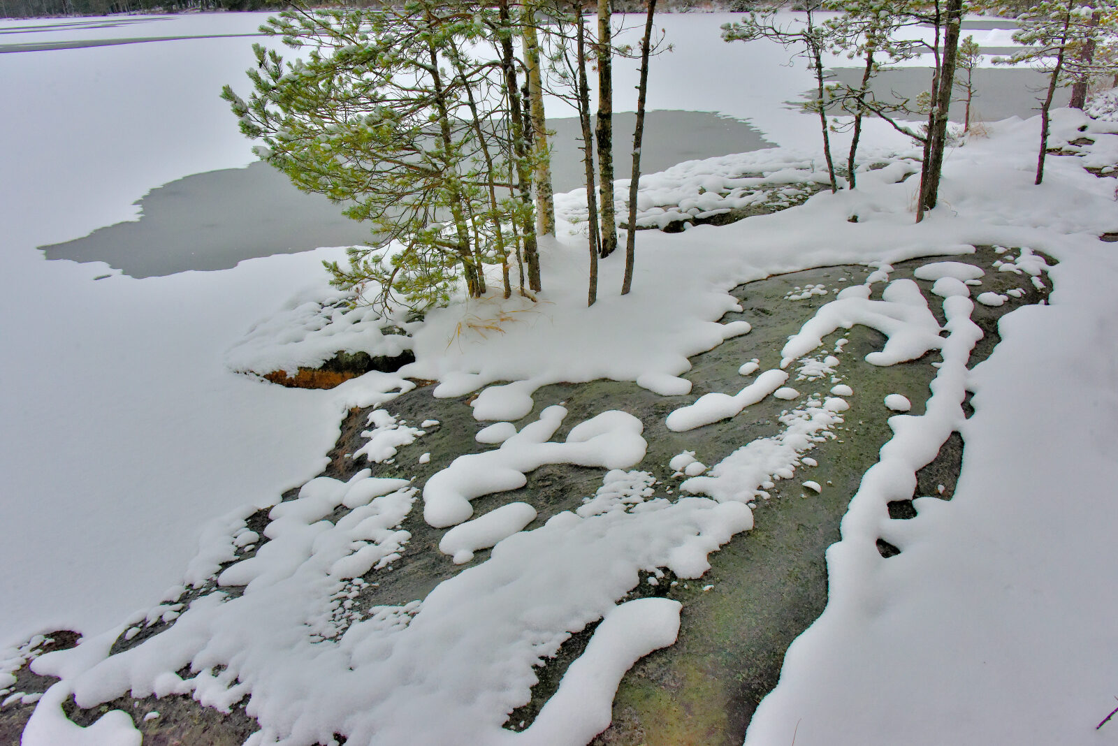 Valokuvaaja: Reijo Juurinen