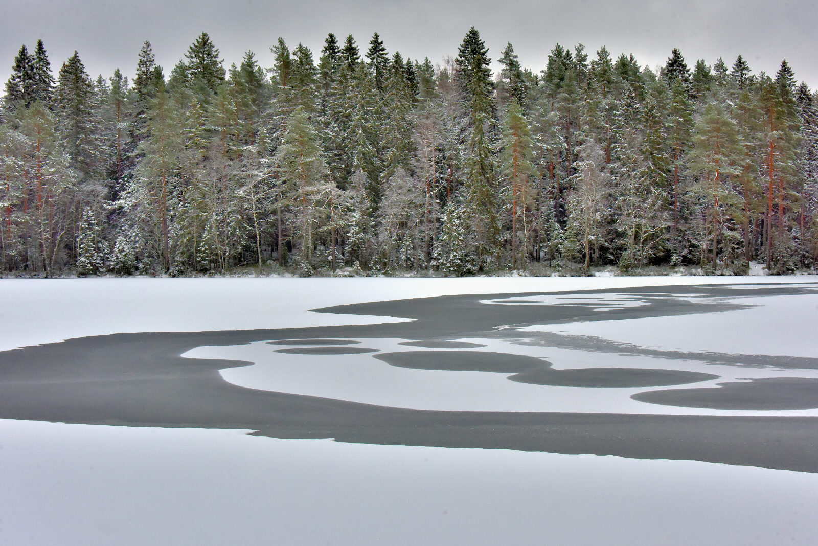 Valokuvaaja: Reijo Juurinen