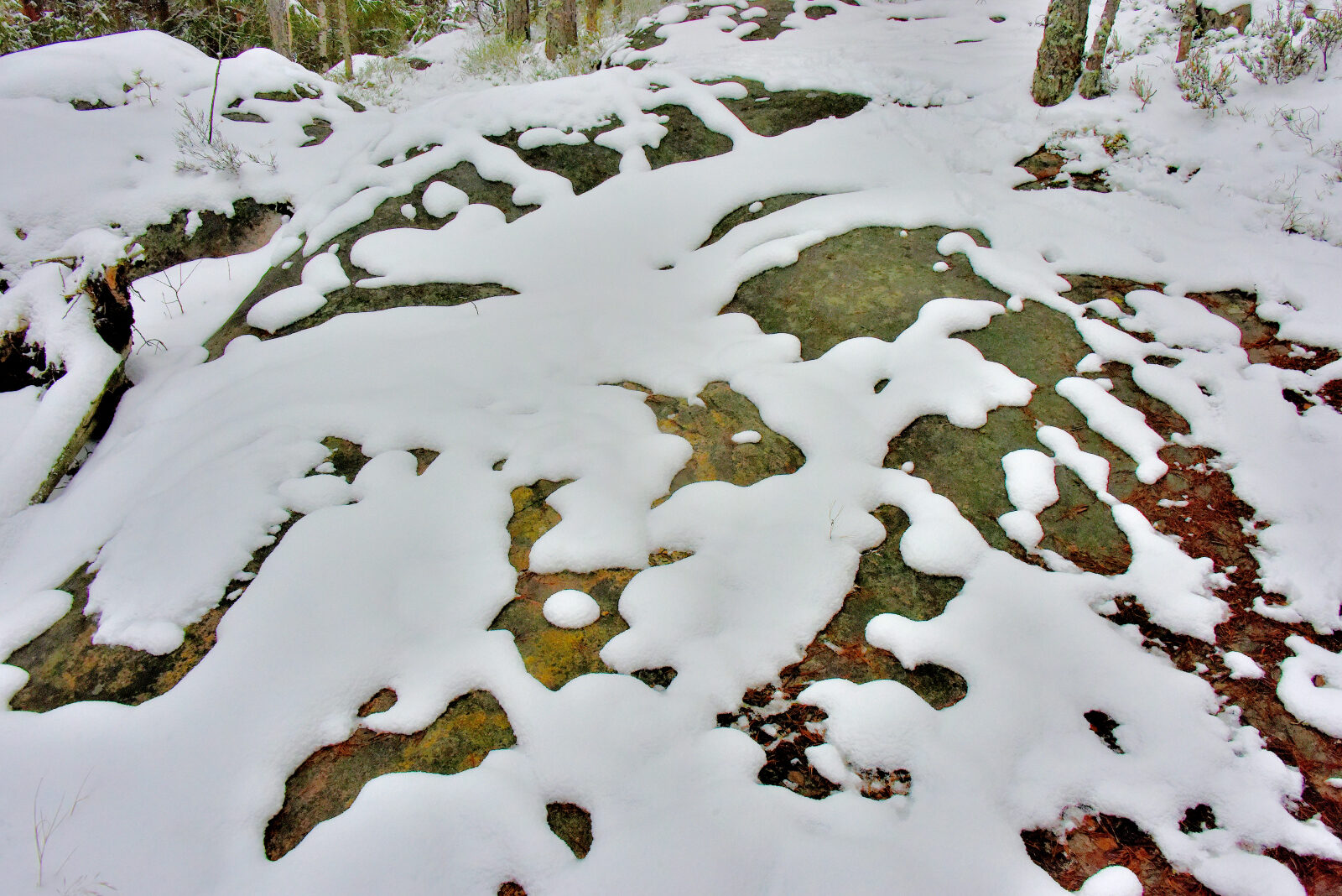 Valokuvaaja: Reijo Juurinen