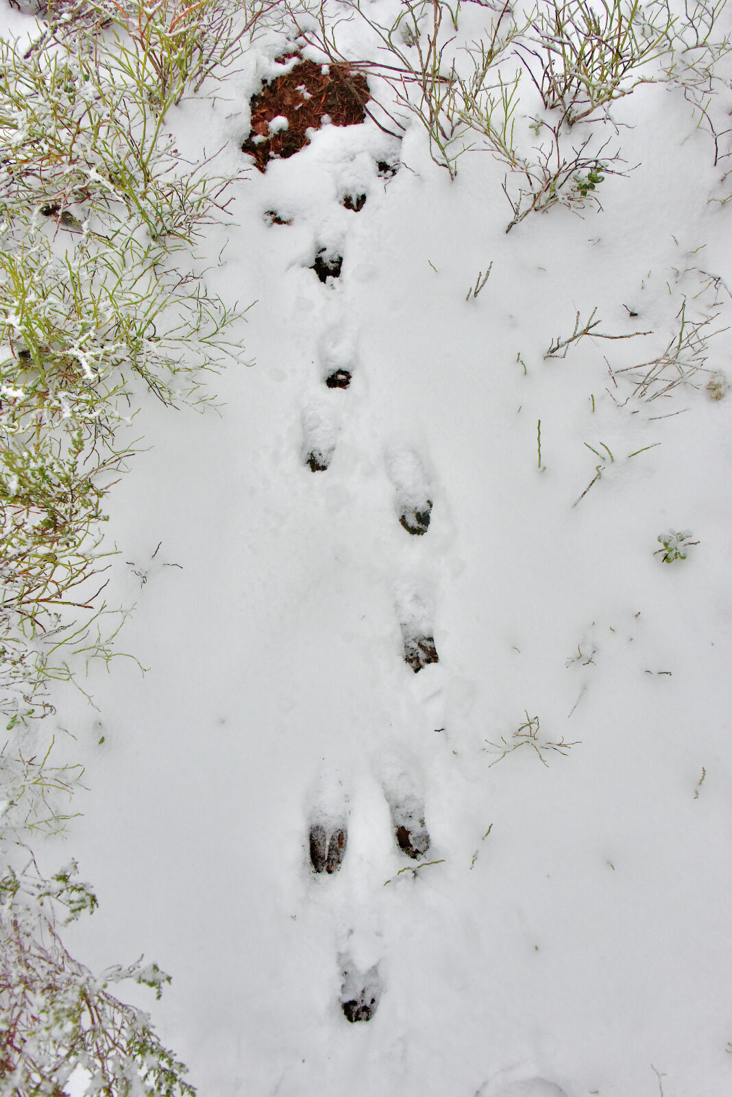 Valokuvaaja: Reijo Juurinen