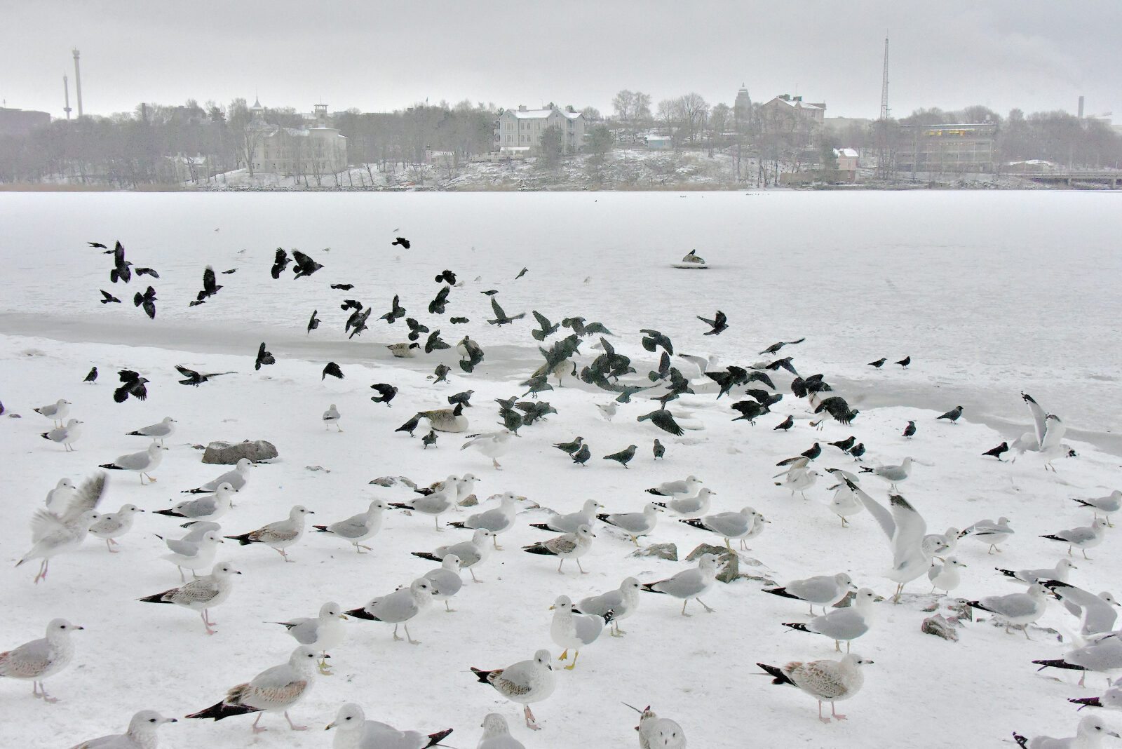 Valokuvaaja: Reijo Juurinen