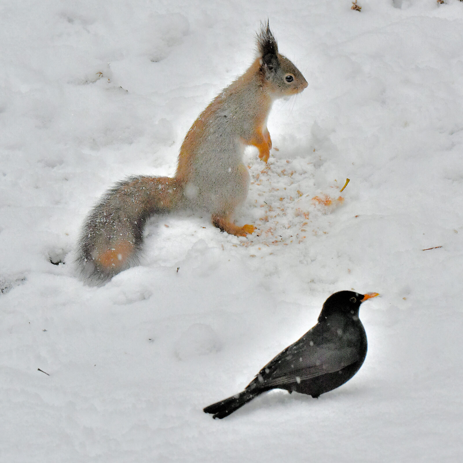Valokuvaaja: Reijo Juurinen