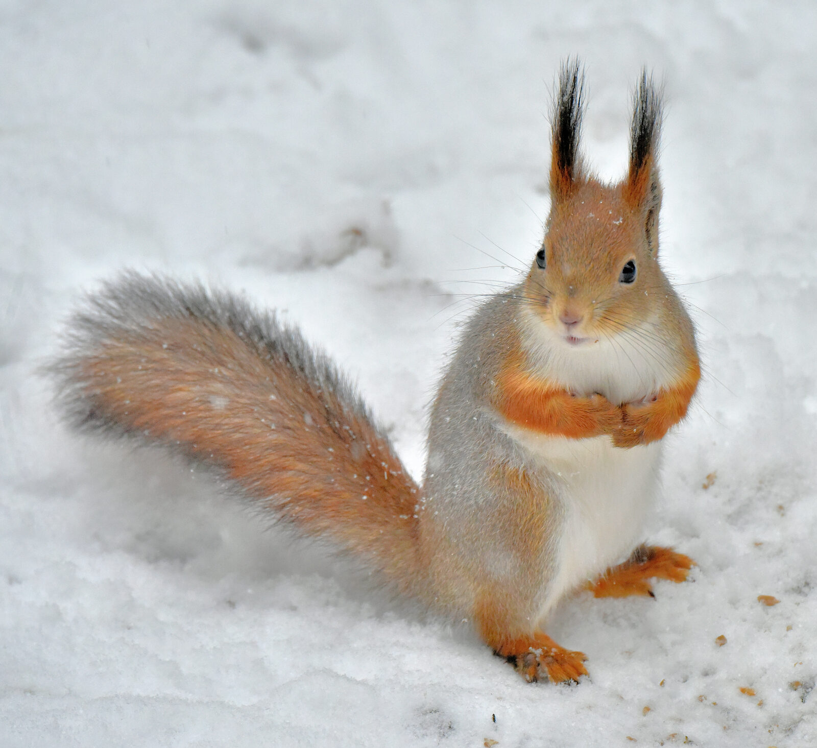 Valokuvaaja: Reijo Juurinen