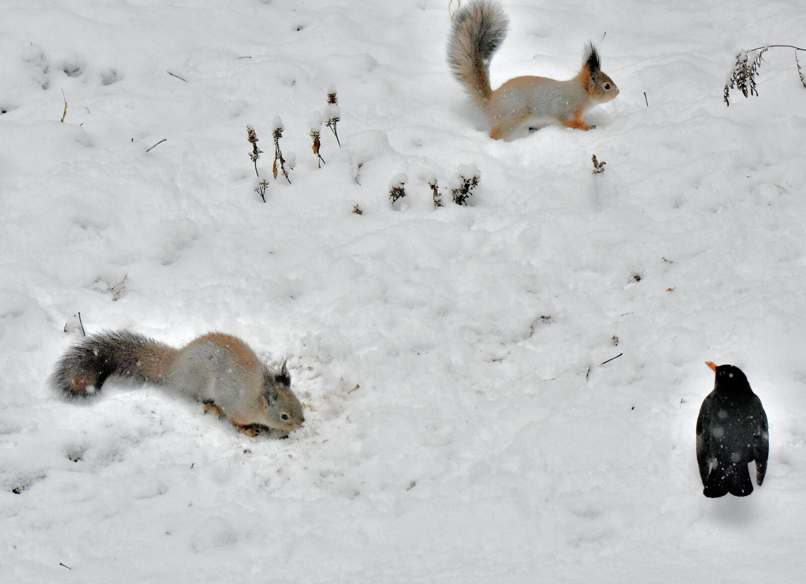 Valokuvaaja: Reijo Juurinen