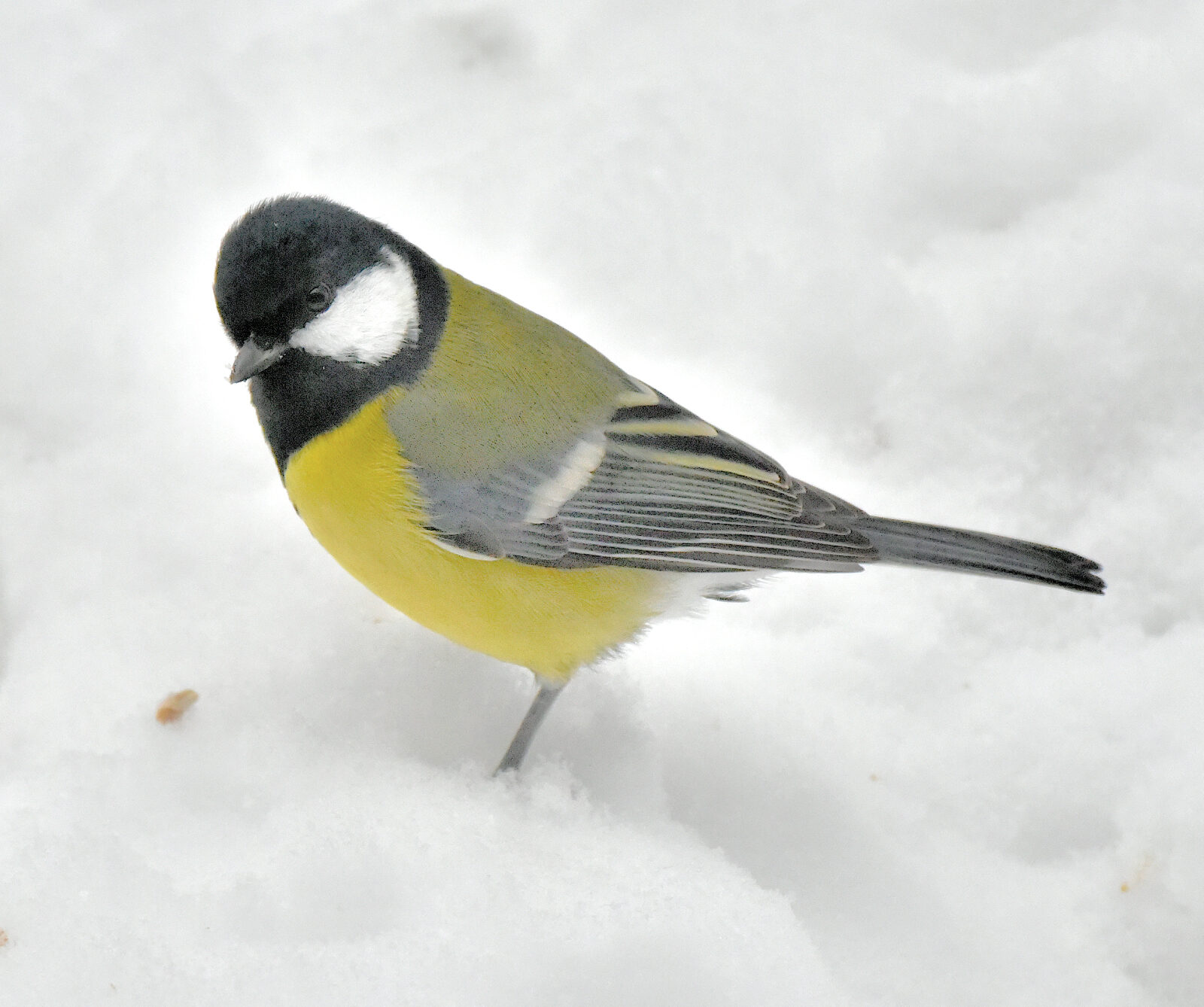 Valokuvaaja: Reijo Juurinen