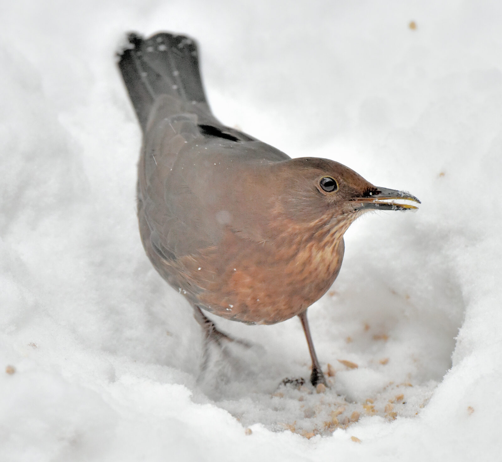 Valokuvaaja: Reijo Juurinen