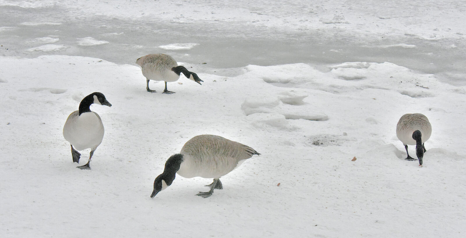 Valokuvaaja: Reijo Juurinen