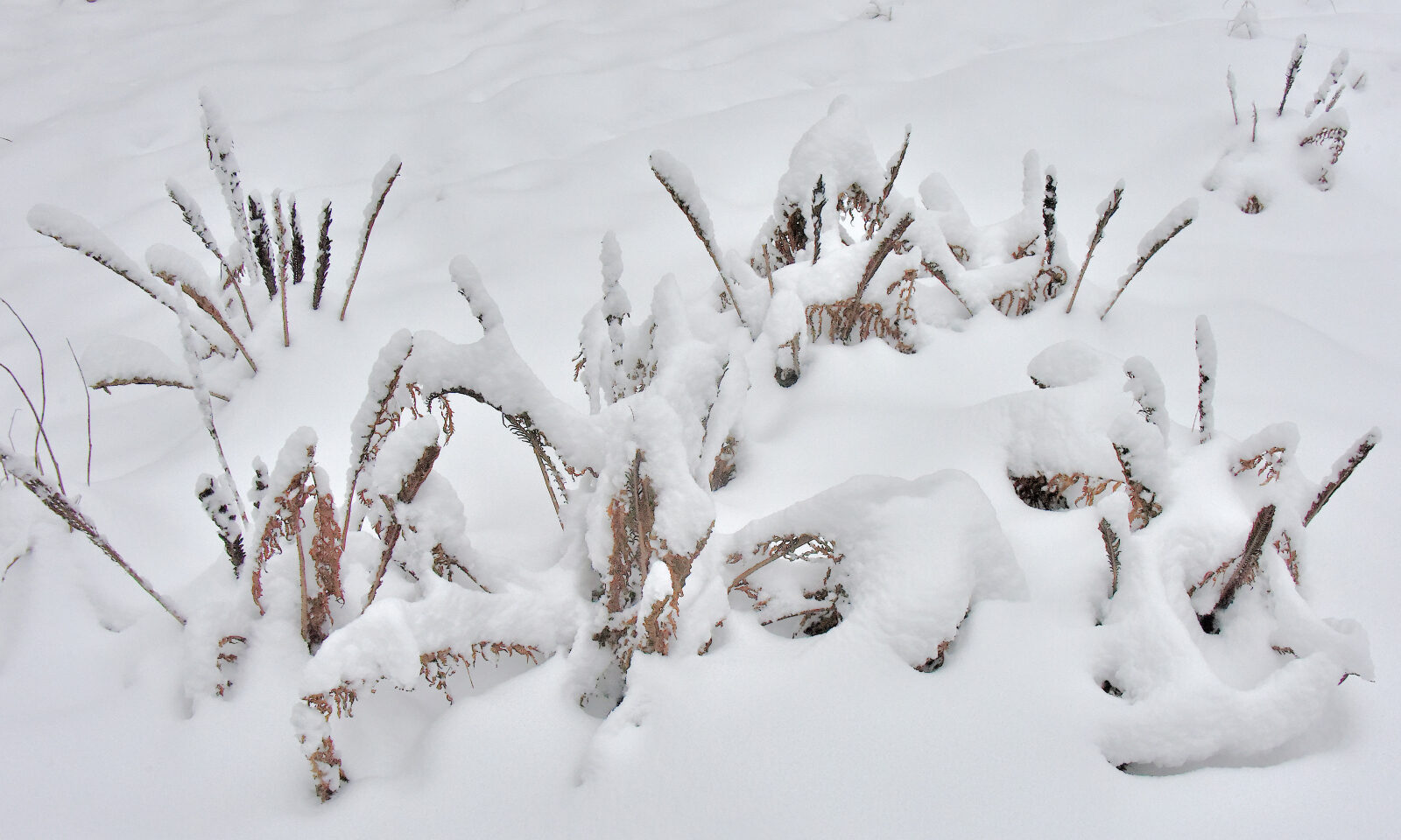Valokuvaaja: Reijo Juurinen