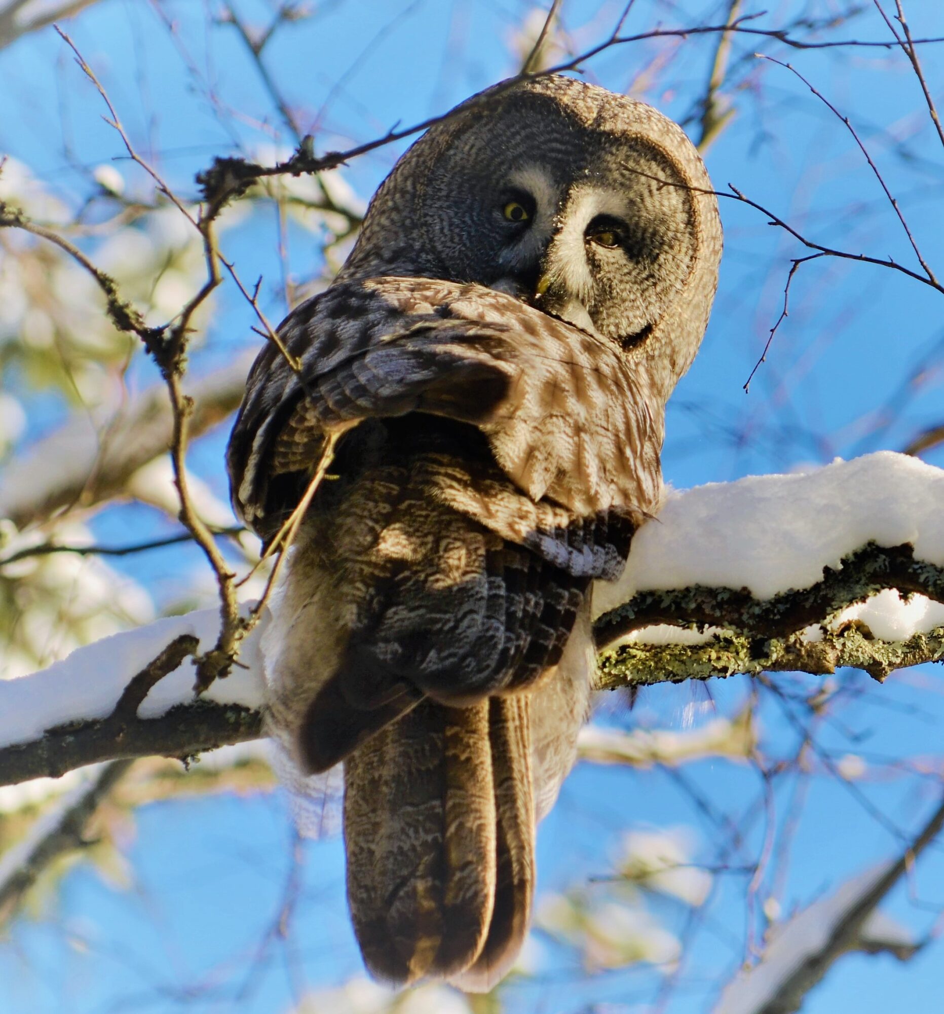 Valokuvaaja: Satu välimaa