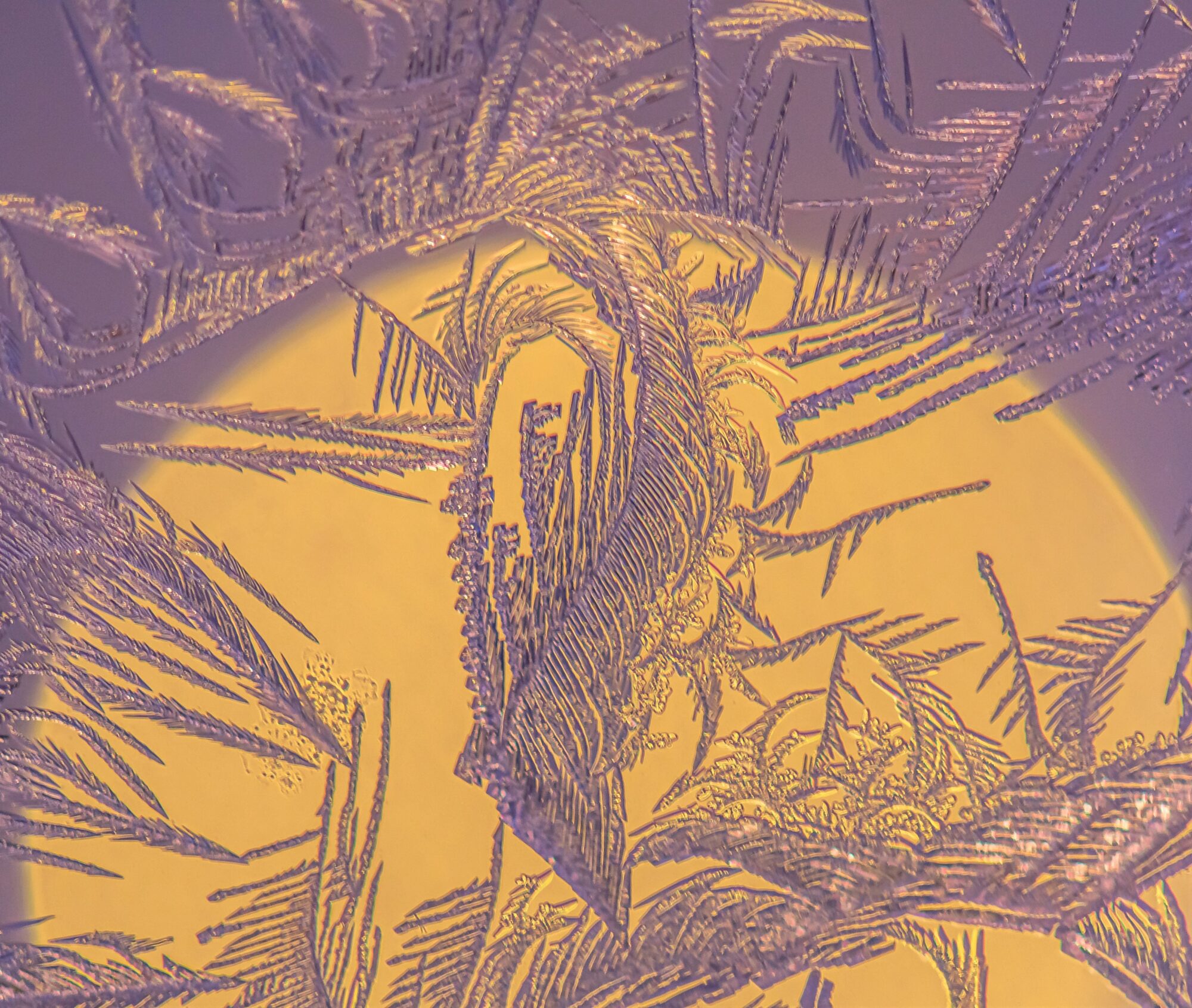 Valokuvaaja: Leena Rissanen