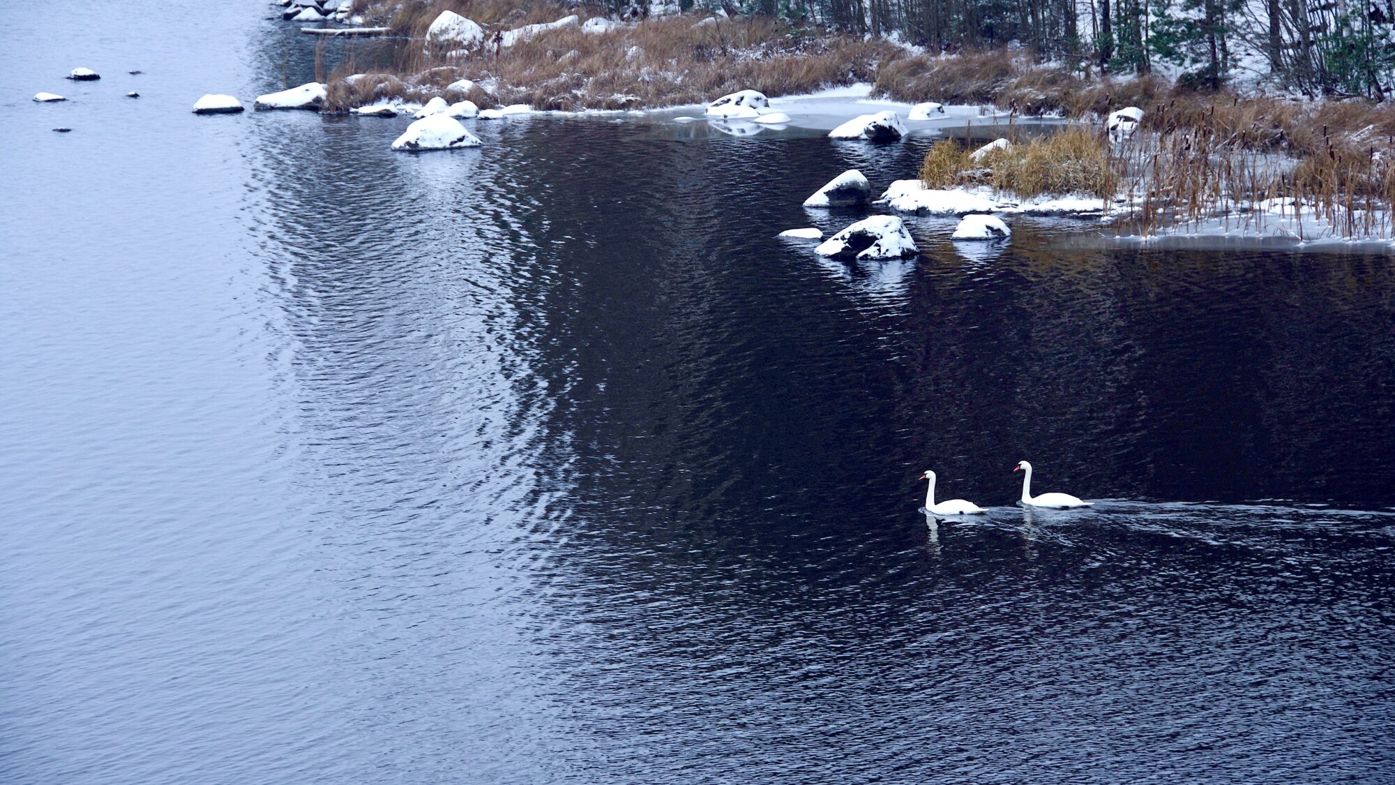 Valokuvaaja: Lasse Rokka