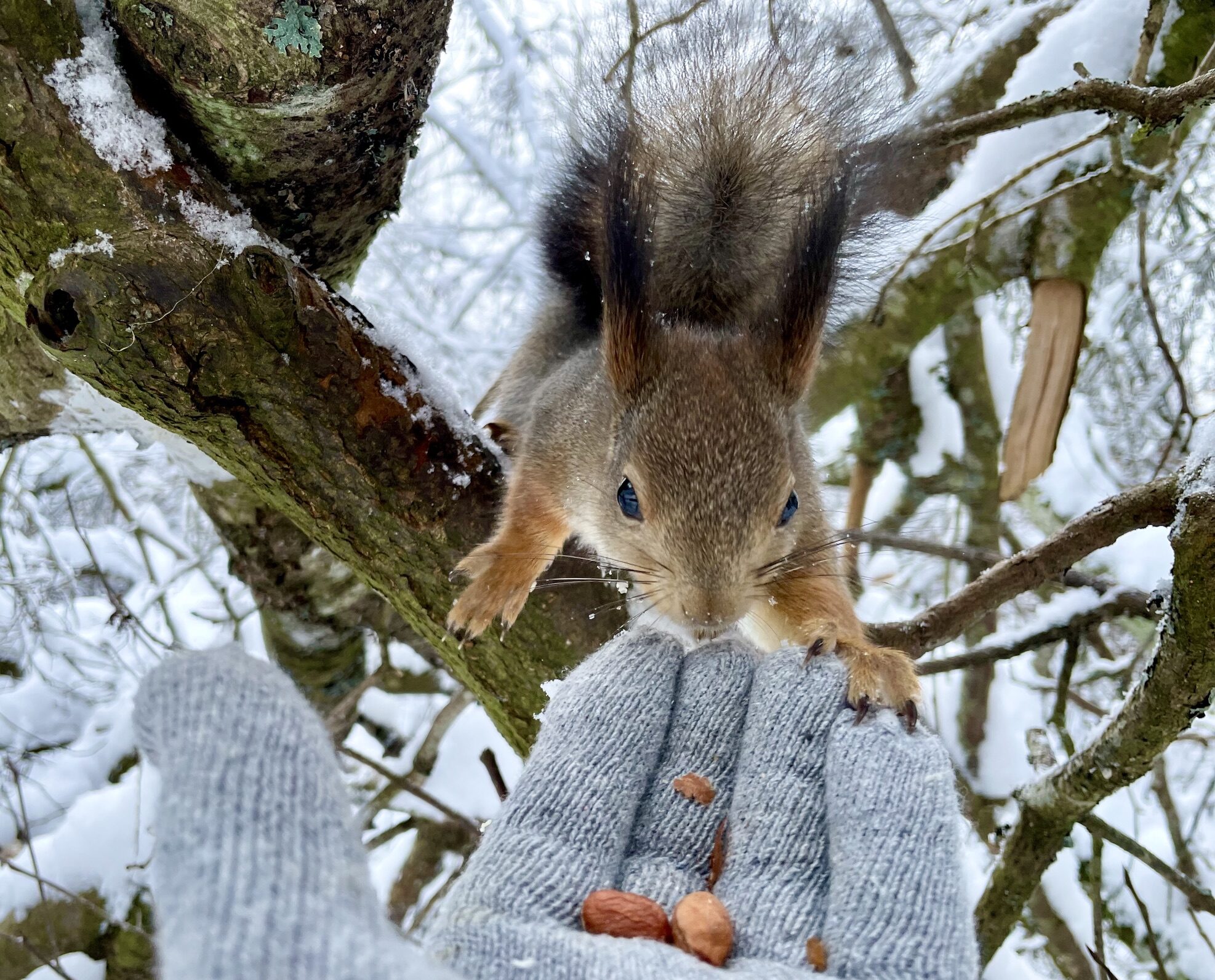 Valokuvaaja: Juhani Peltonen