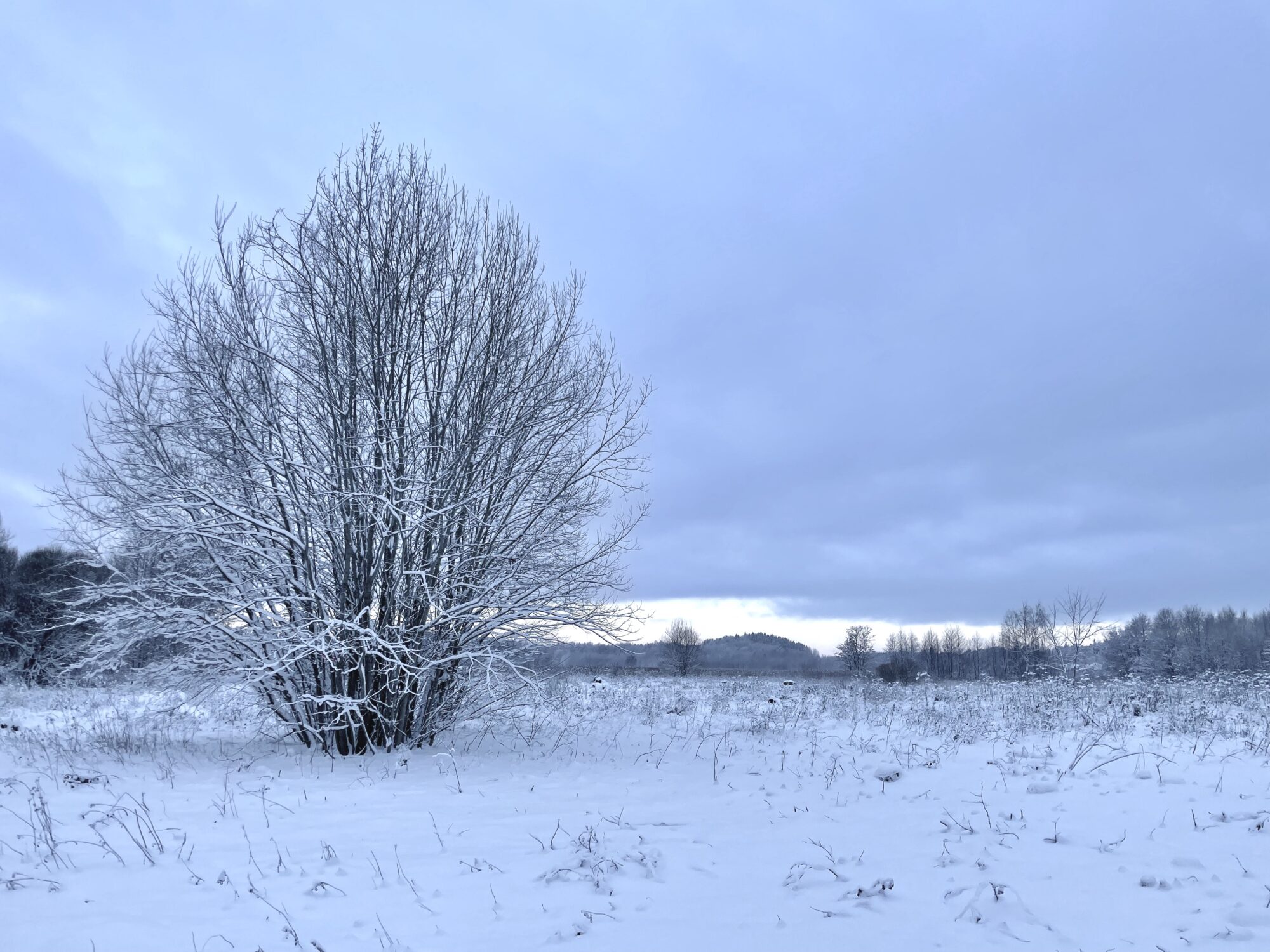 Valokuvaaja: Juhani Peltonen
