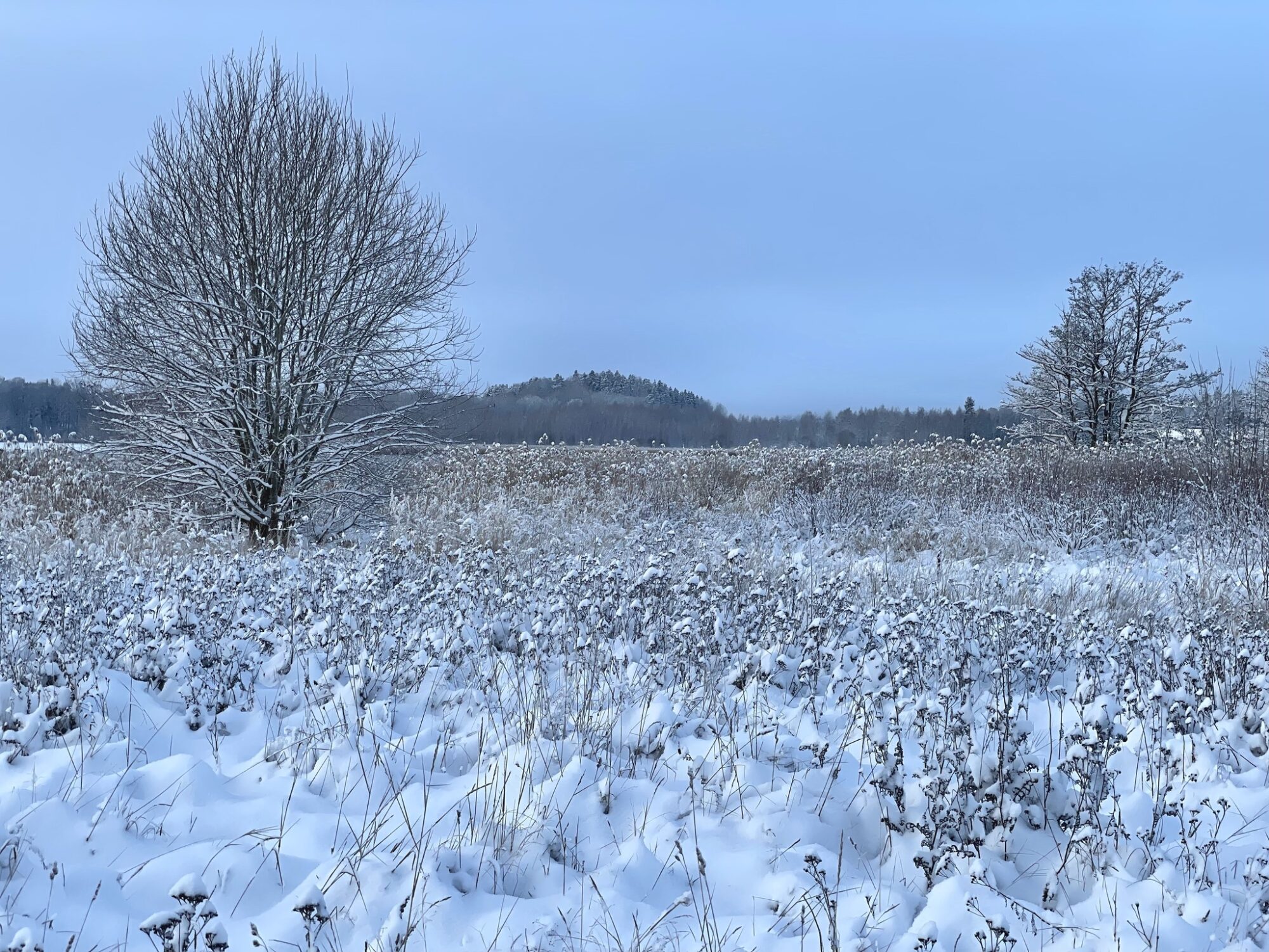 Valokuvaaja: Juhani Peltonen