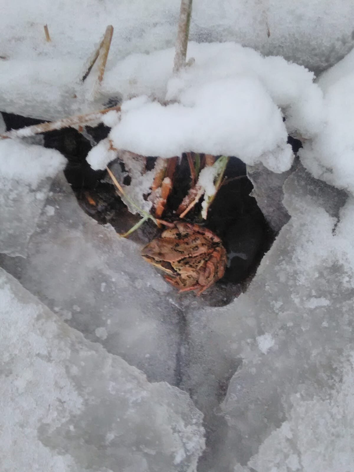 Valokuvaaja: Auli Feldt