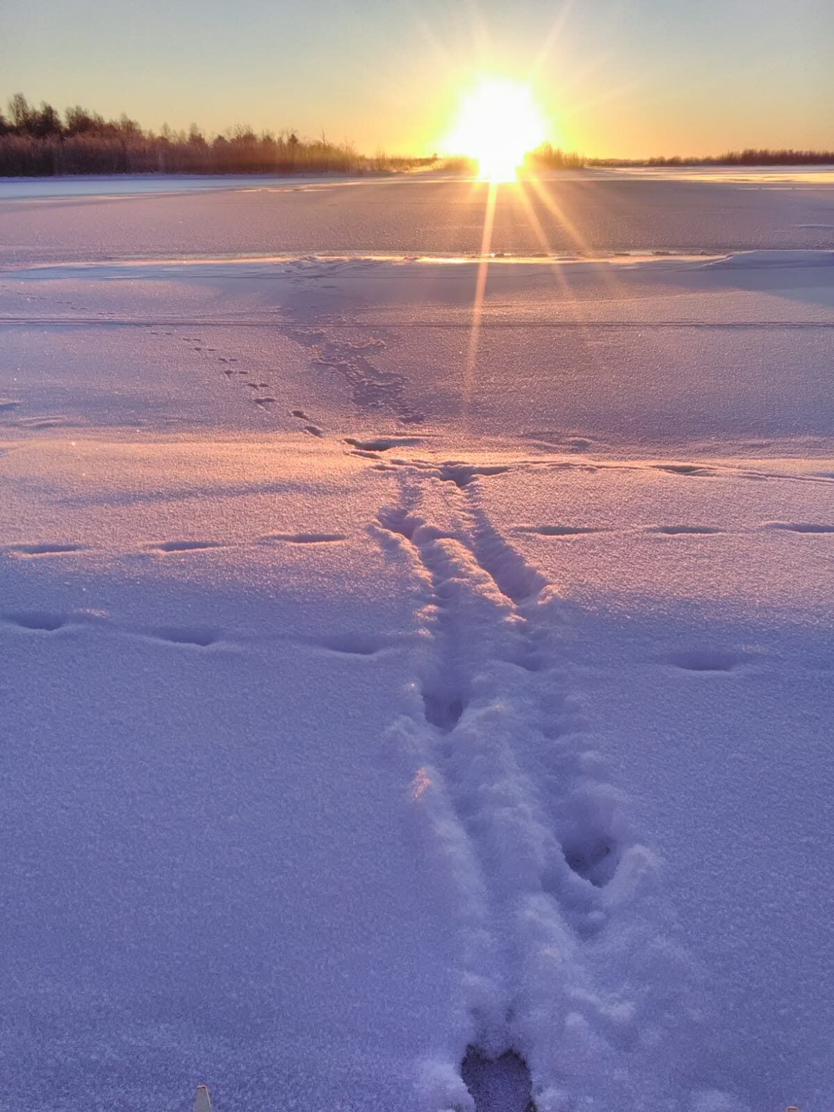 Valokuvaaja: Juha Juvonen