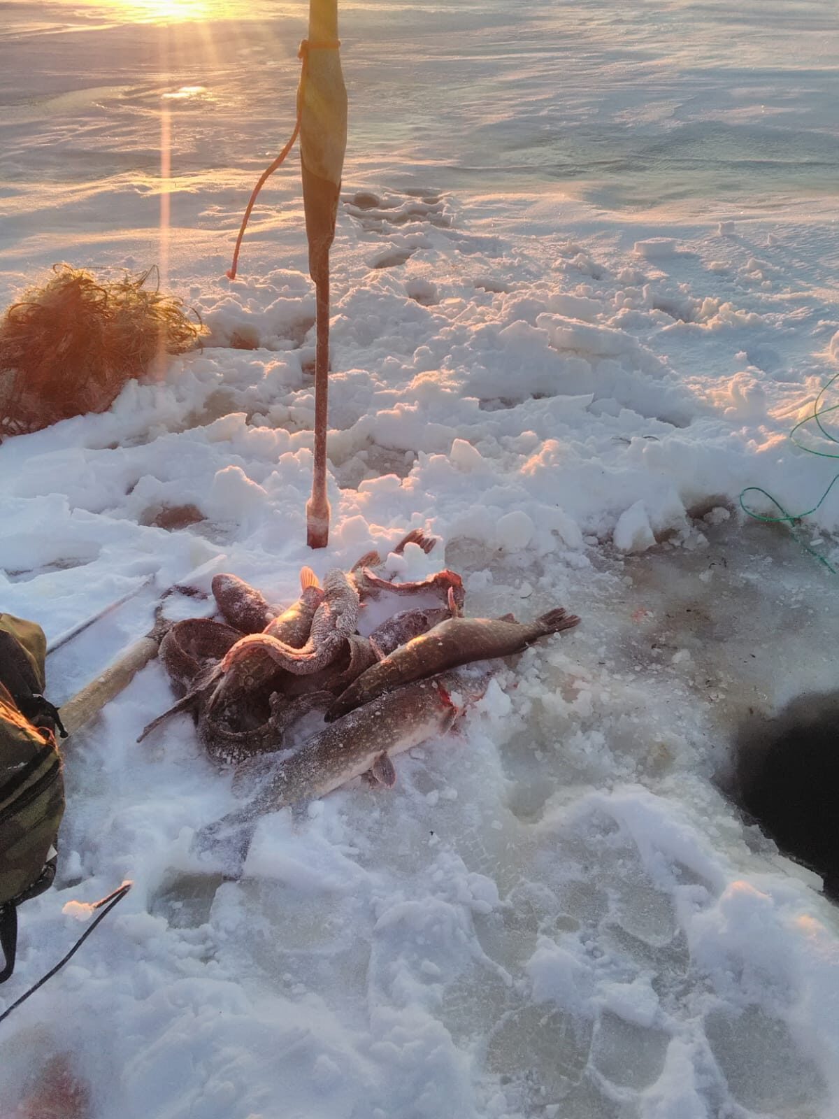 Valokuvaaja: Juha Juvonen