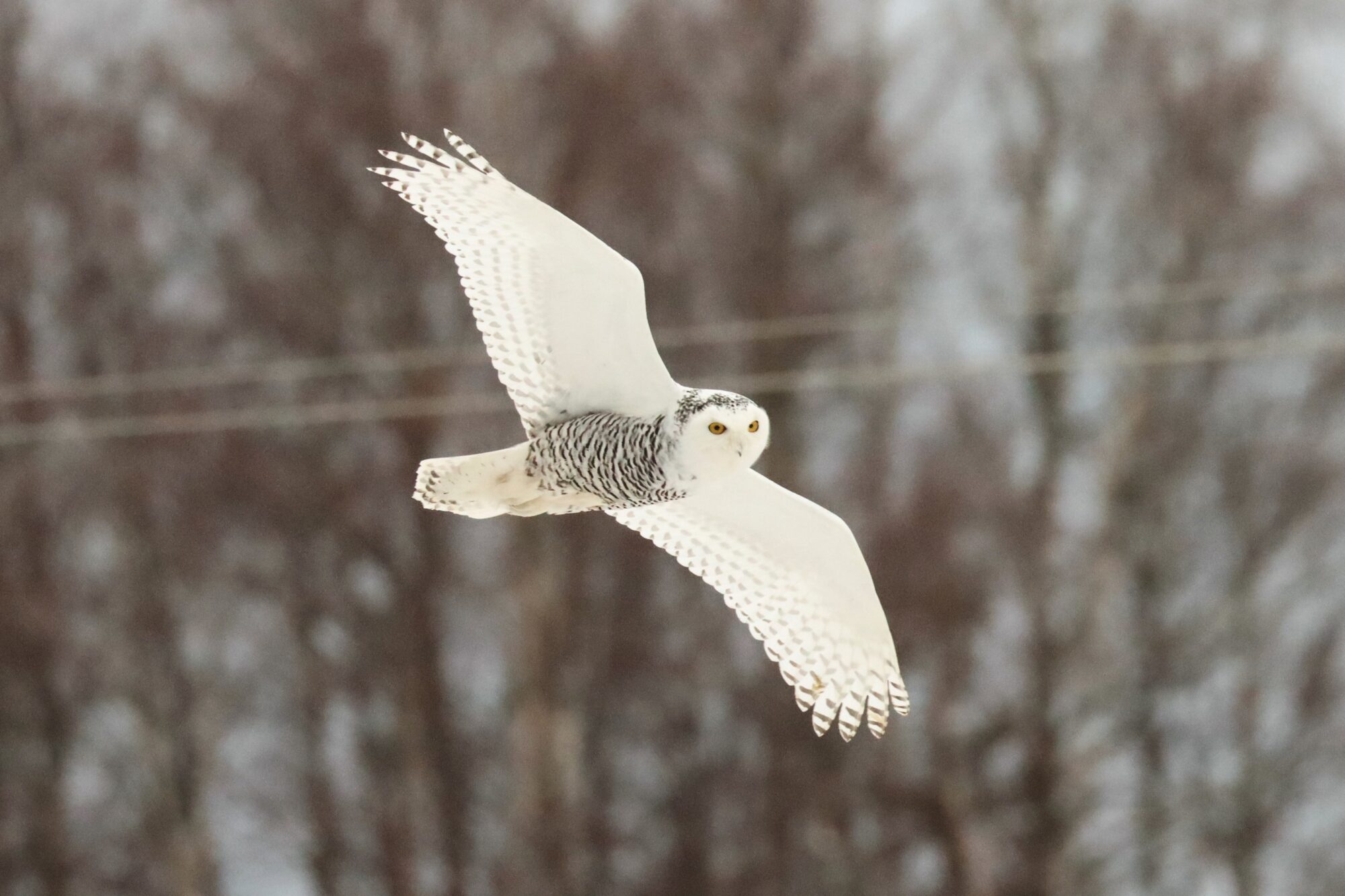Valokuvaaja: Susanna Hannula