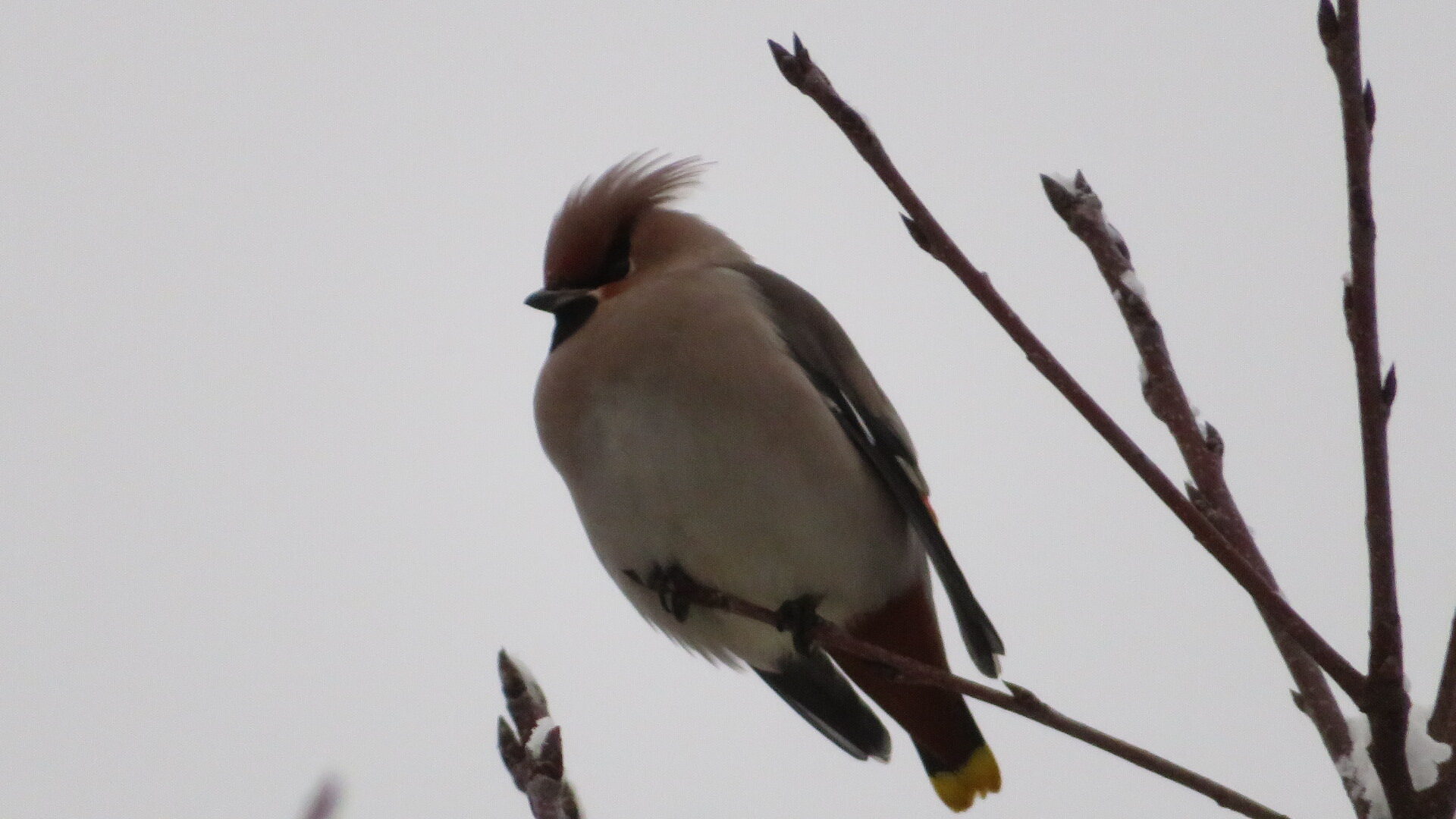Valokuvaaja: Risto Kangassalo