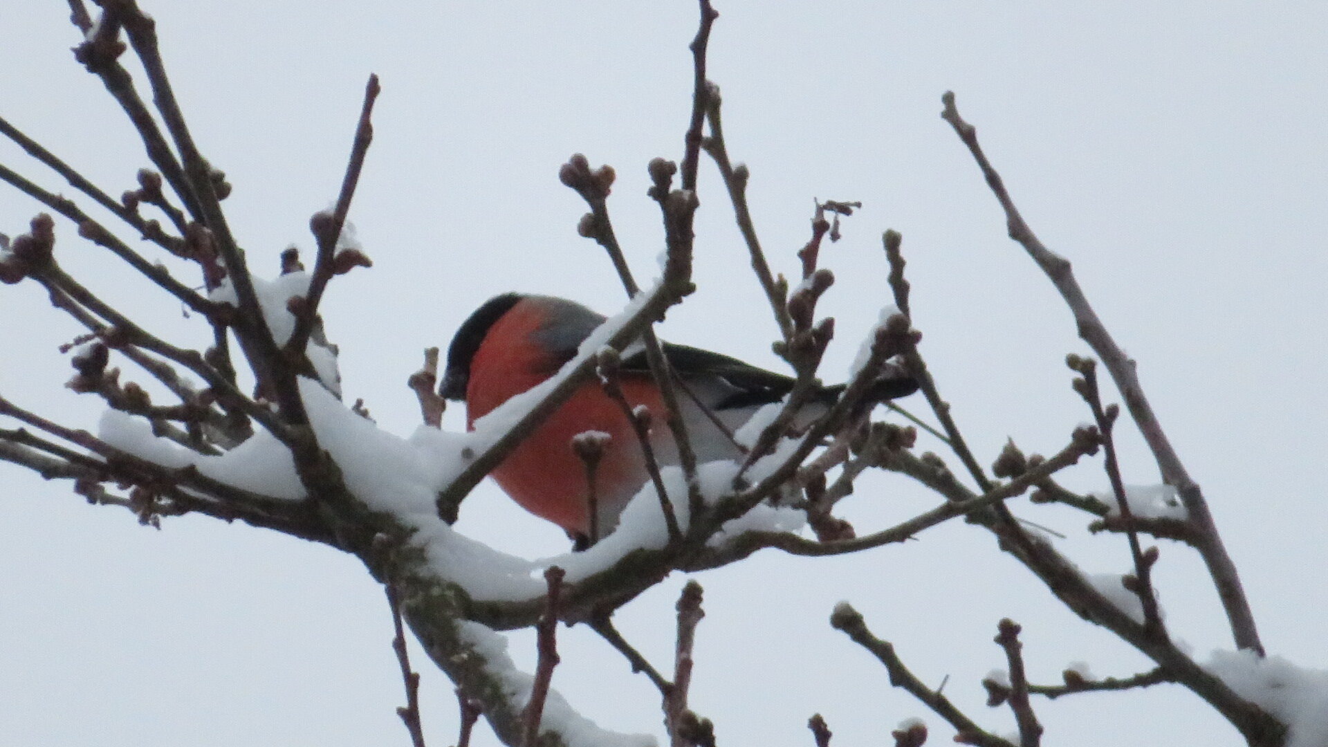 Valokuvaaja: Risto Kangassalo