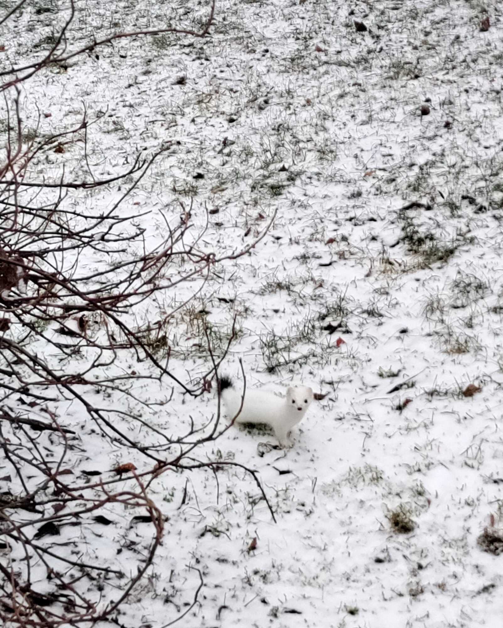 Valokuvaaja: Helena Sytelä