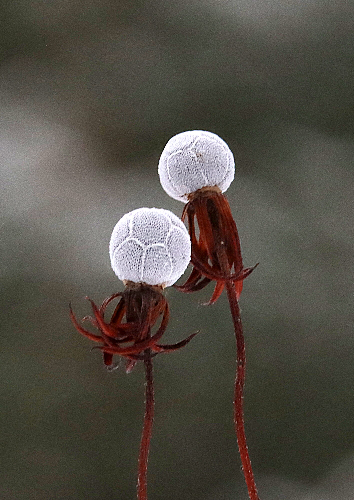 Valokuvaaja: Hannu Rasiranta Valokuvaaja: Hannu Rasiranta