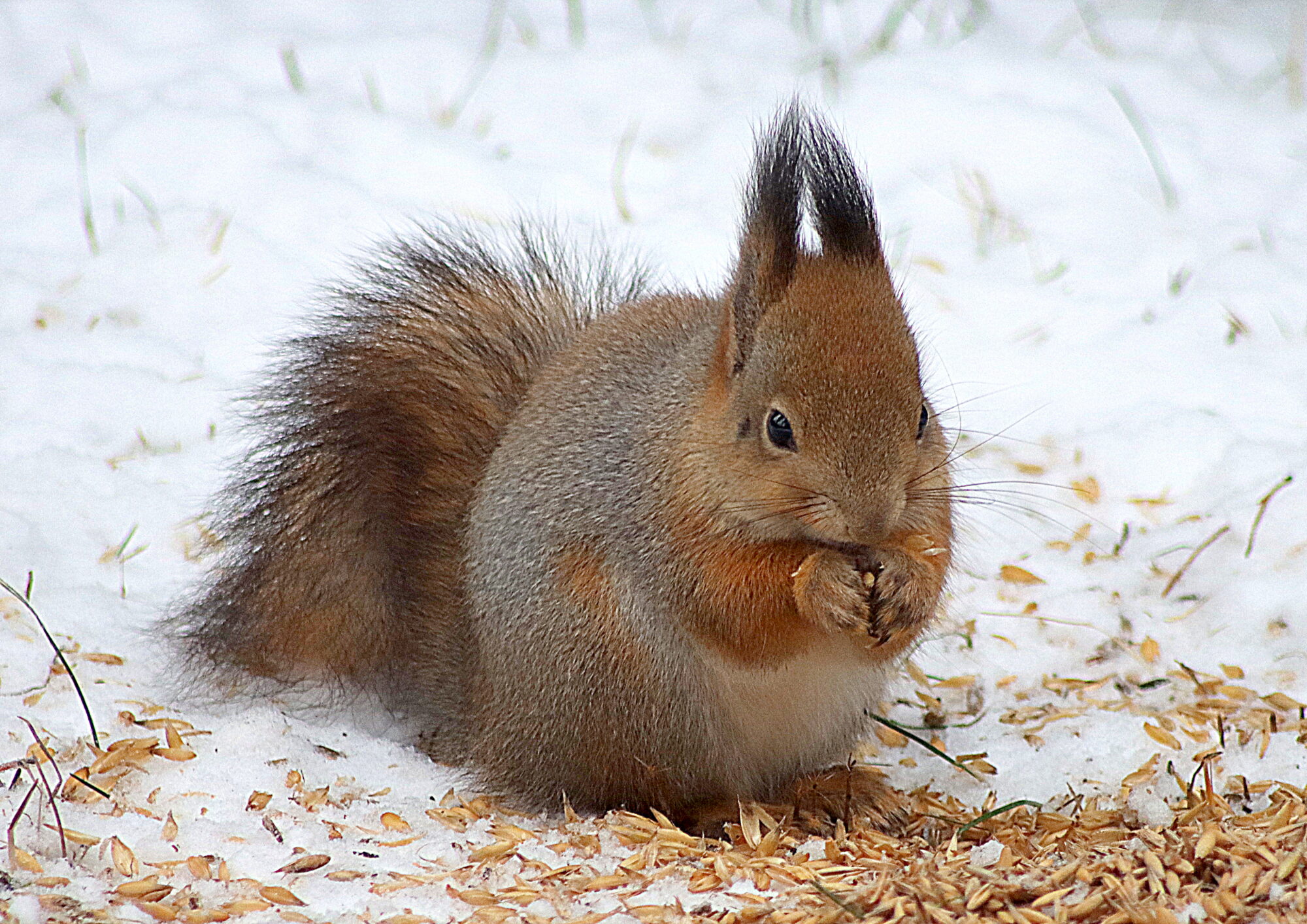 Valokuvaaja: Hannu Rasiranta