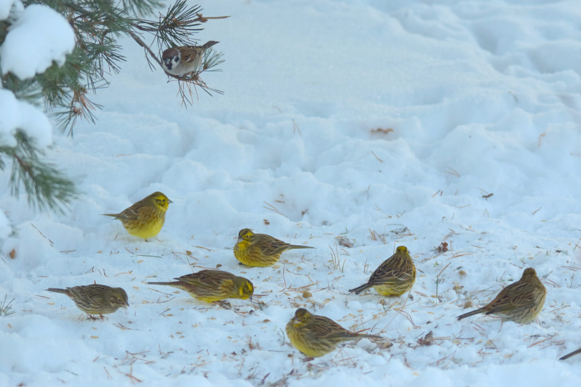 Valokuvaaja: Kaarlo Asikainen