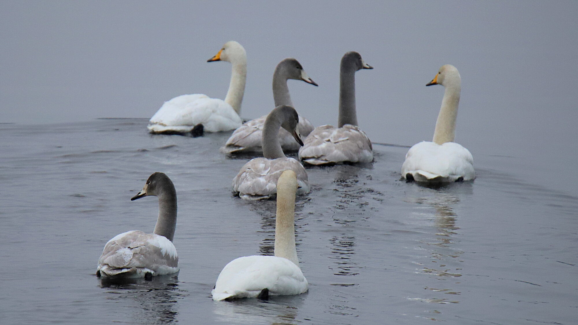 Valokuvaaja: sirpa Jyske