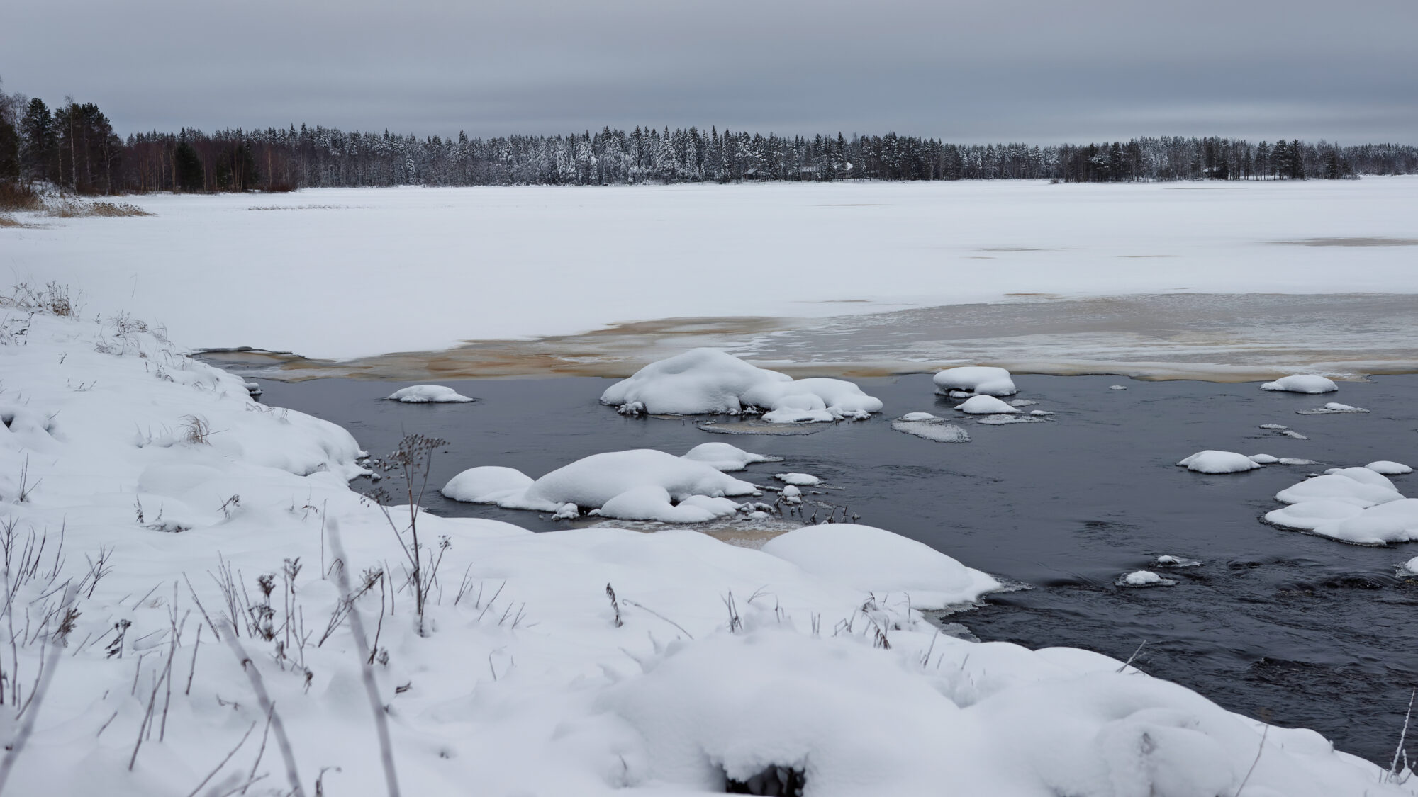 Valokuvaaja: TOMMI KUJALA Valokuvaaja: TOMMI KUJALA