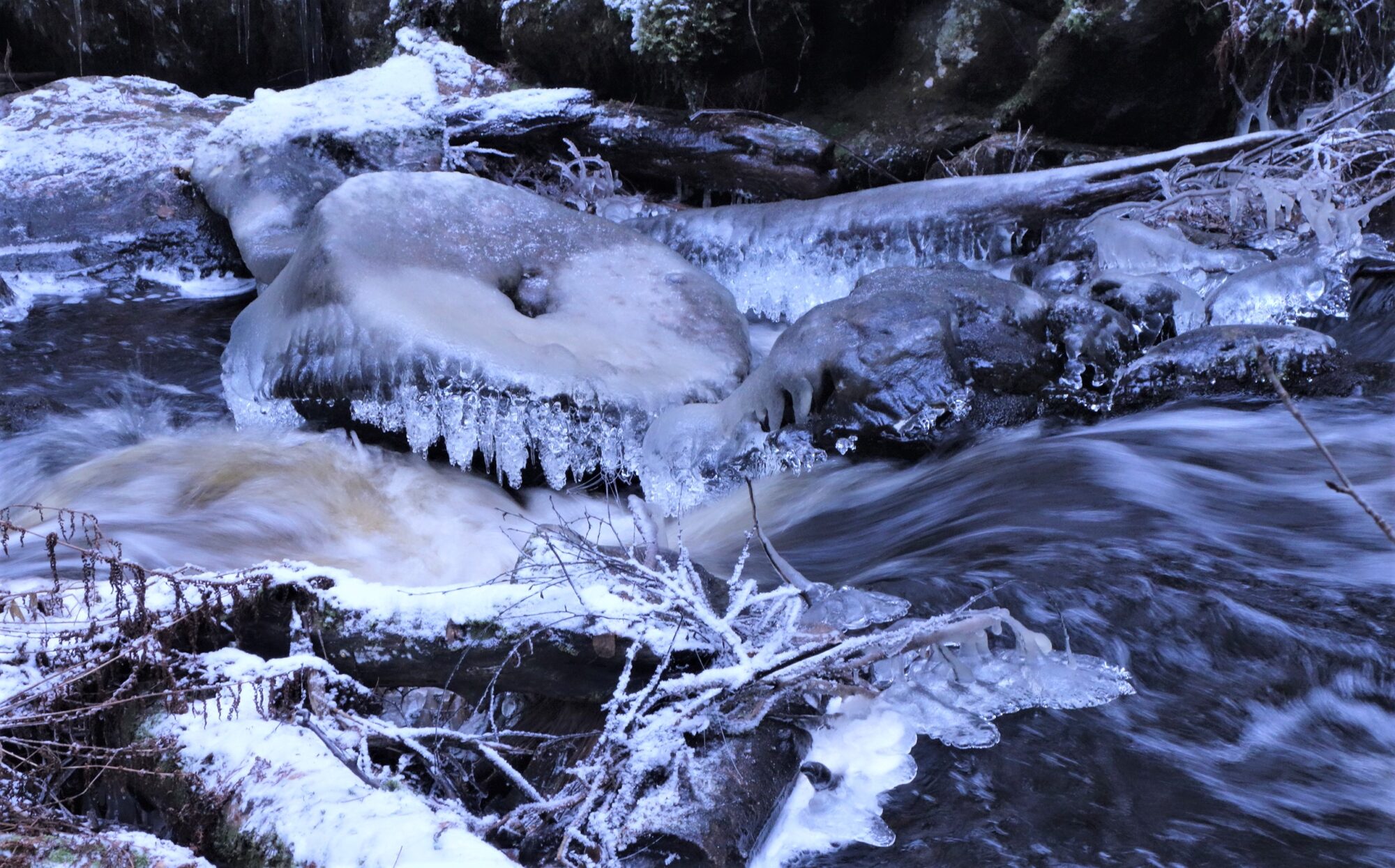 Valokuvaaja: Kaarina Heiskanen