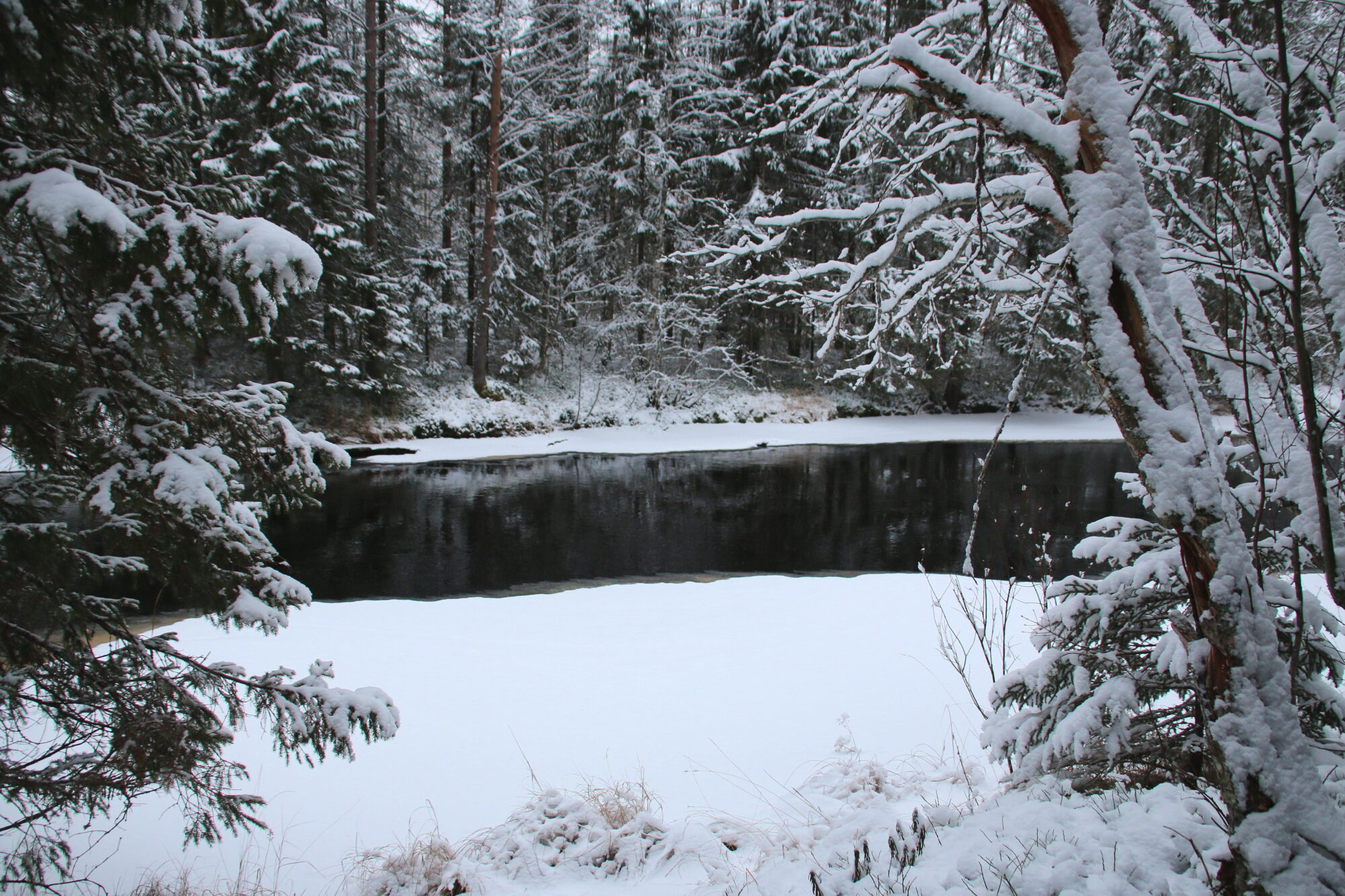 Valokuvaaja: Tuukka Pahtamaa