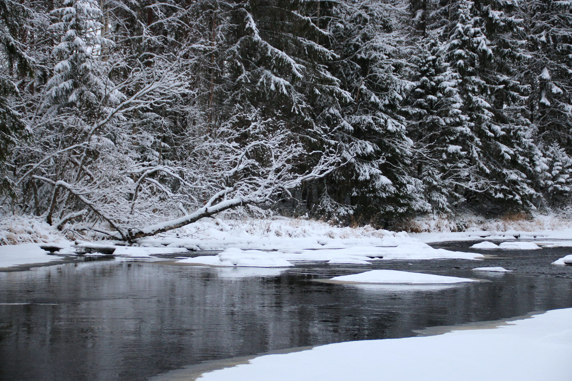 Valokuvaaja: Tuukka Pahtamaa