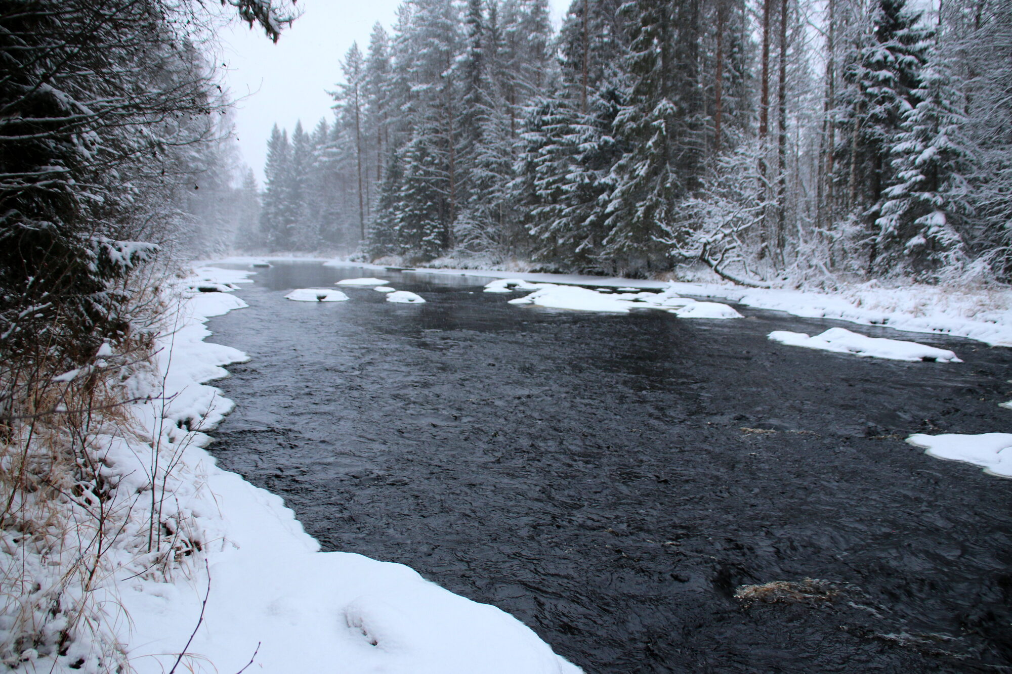 Valokuvaaja: Tuukka Pahtamaa