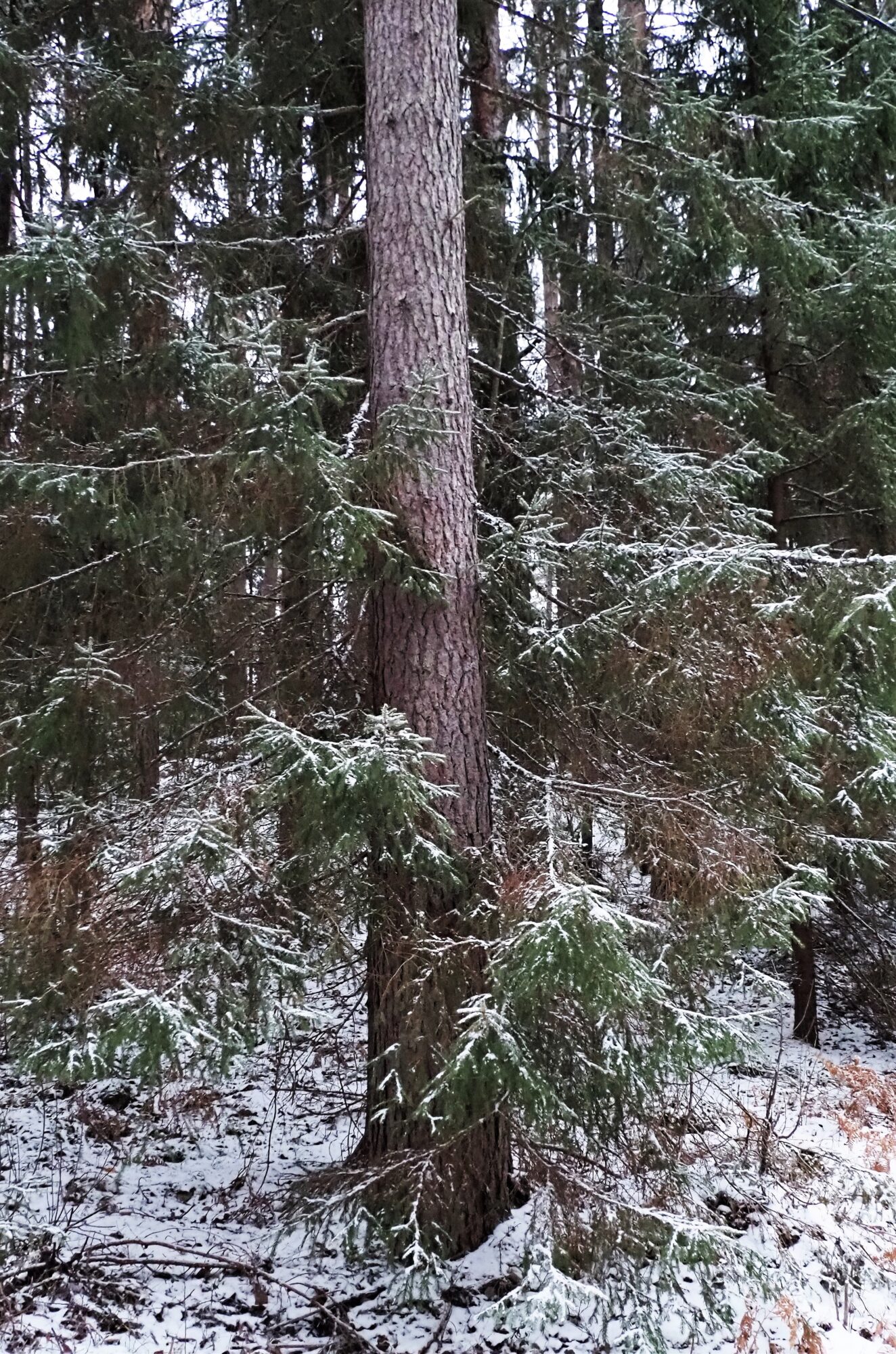 Valokuvaaja: Martti Valtonen Valokuvaaja: Martti Valtonen