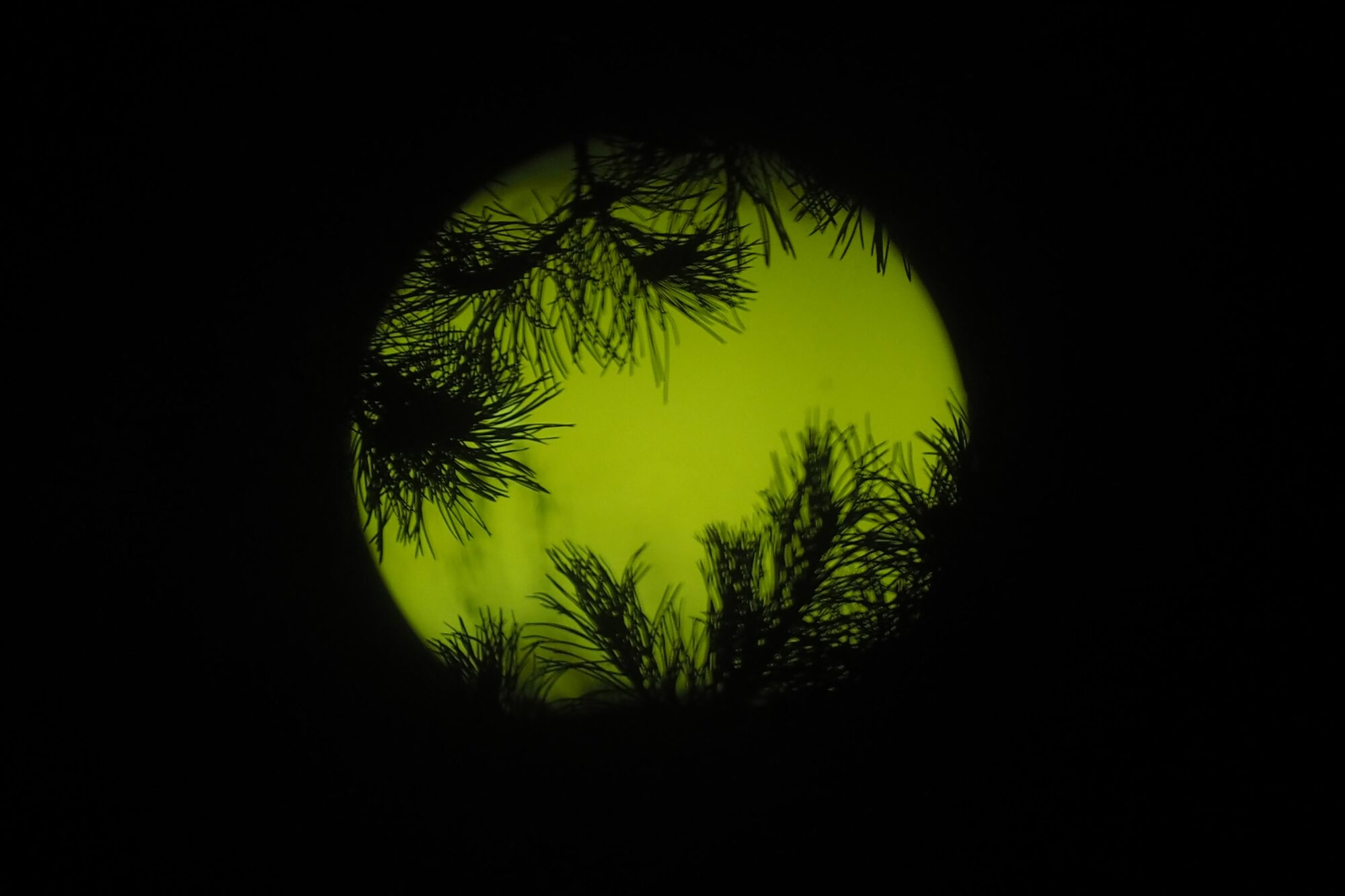 Valokuvaaja: Martti Valtonen