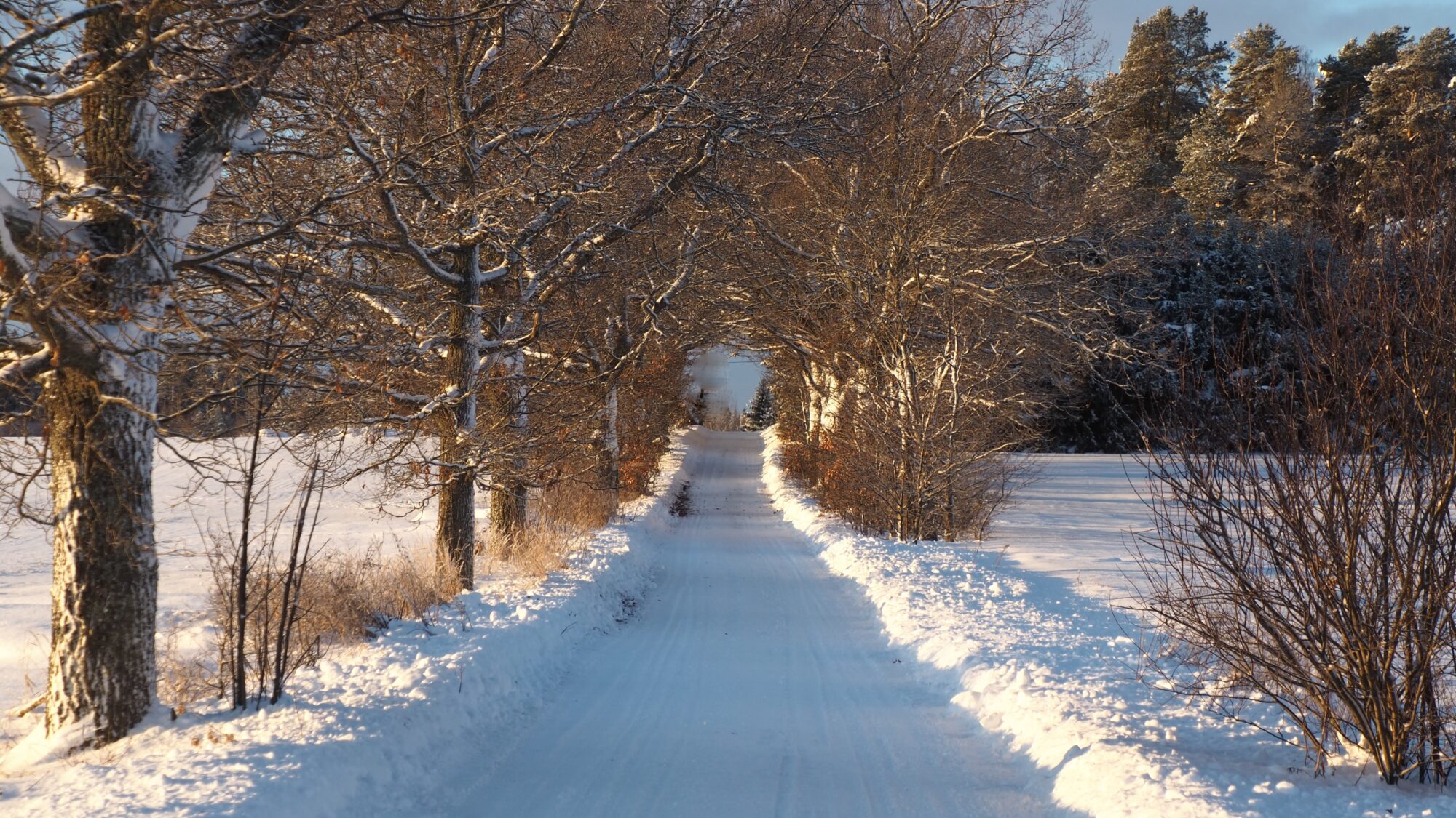 Valokuvaaja: Martti Valtonen Valokuvaaja: Martti Valtonen