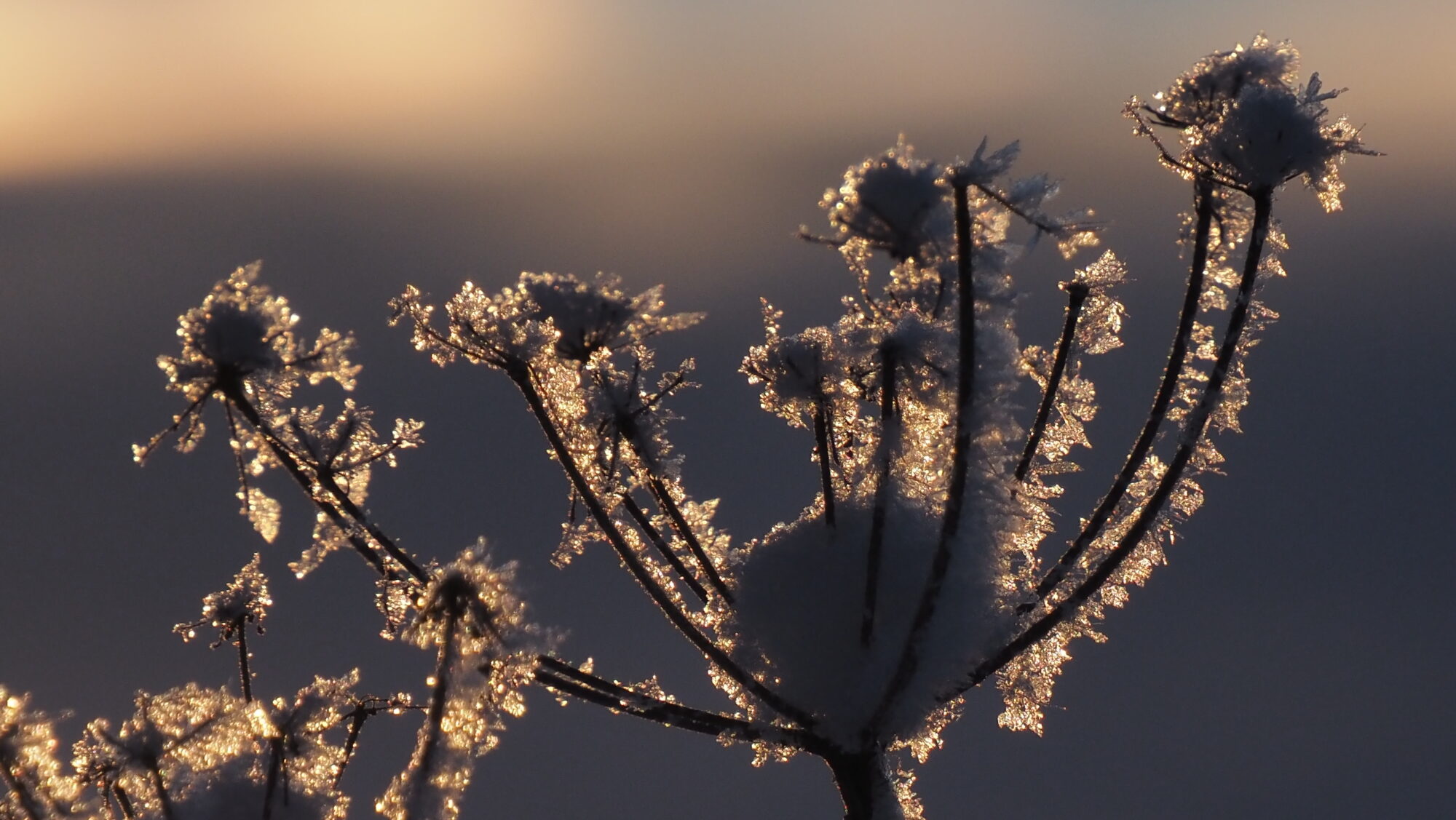 Valokuvaaja: Arja Valtonen