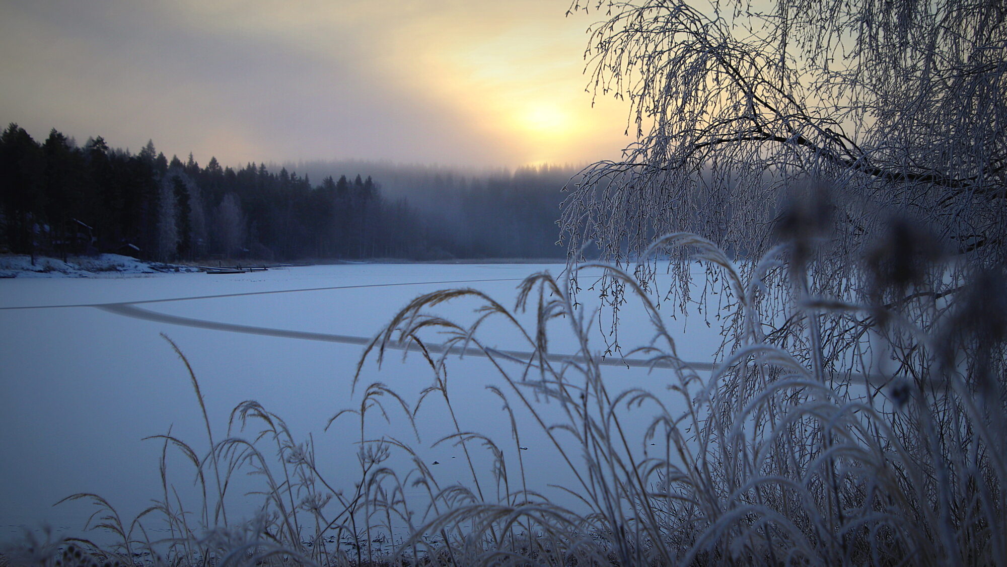 Valokuvaaja: sirpa Jyske