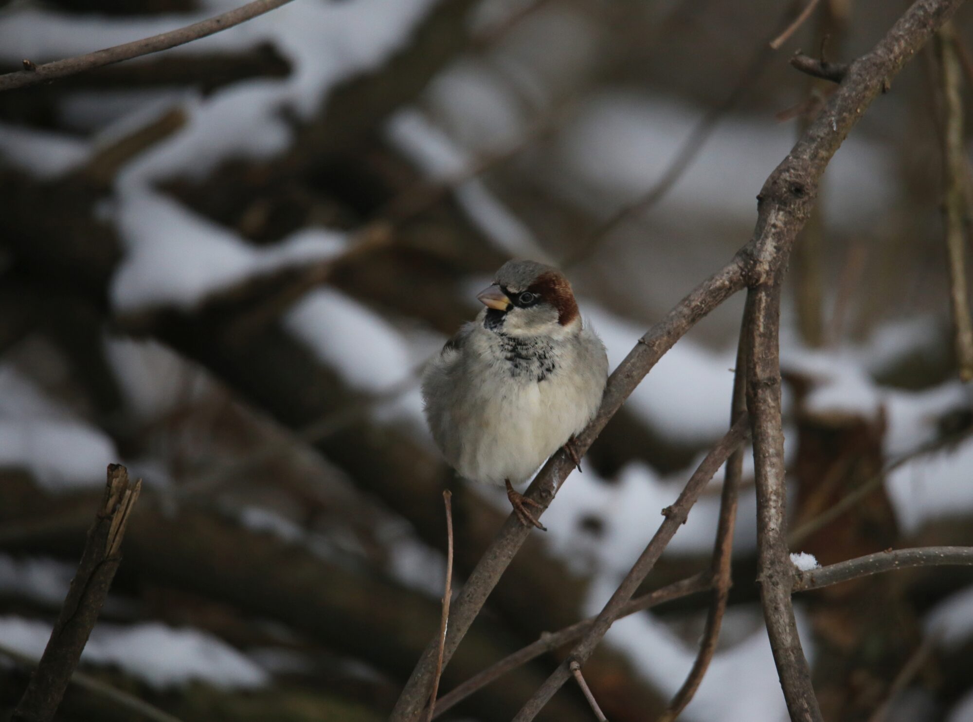 Valokuvaaja: Jaana Saarelainen