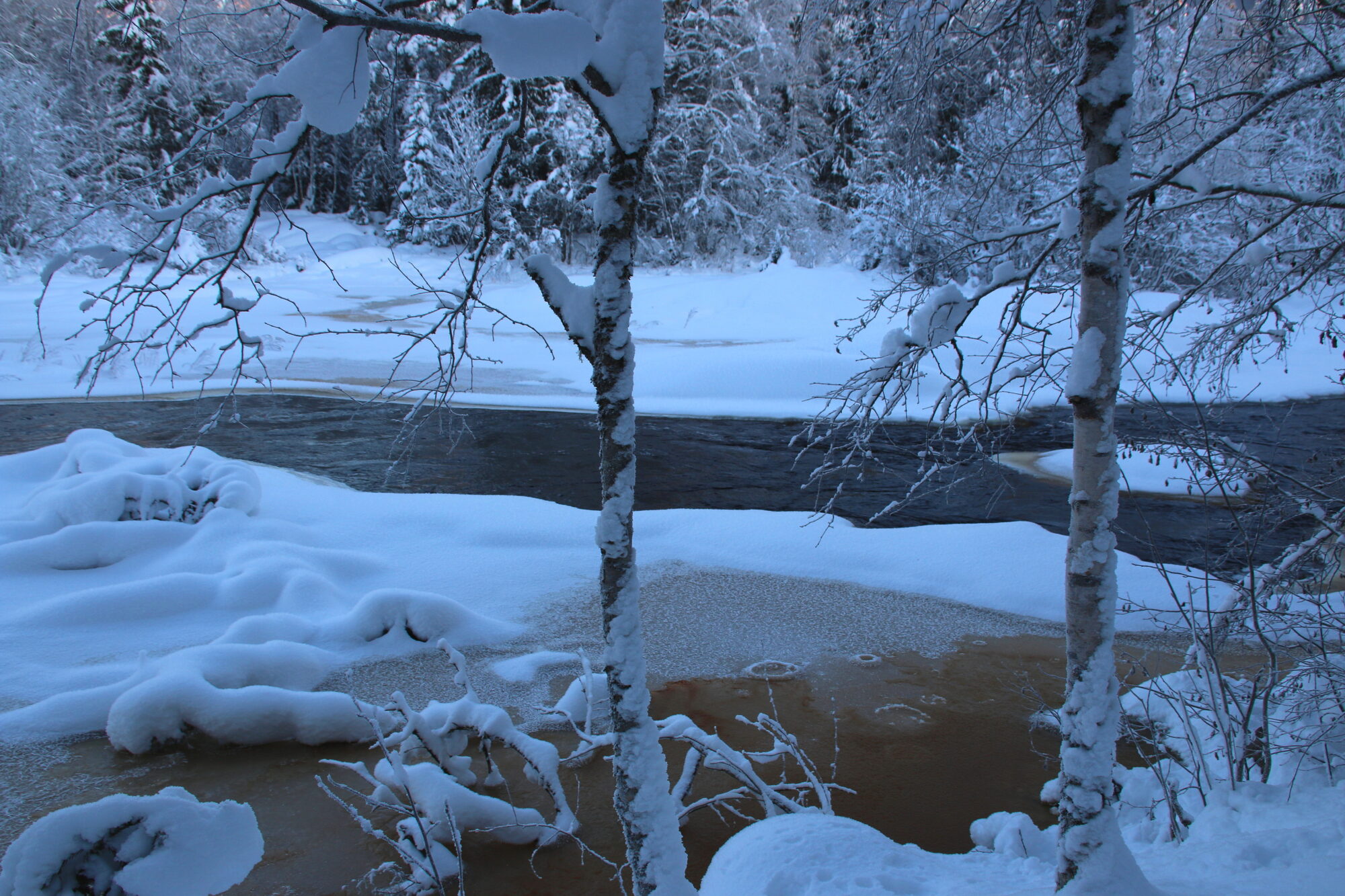 Valokuvaaja: Tuukka Pahtamaa