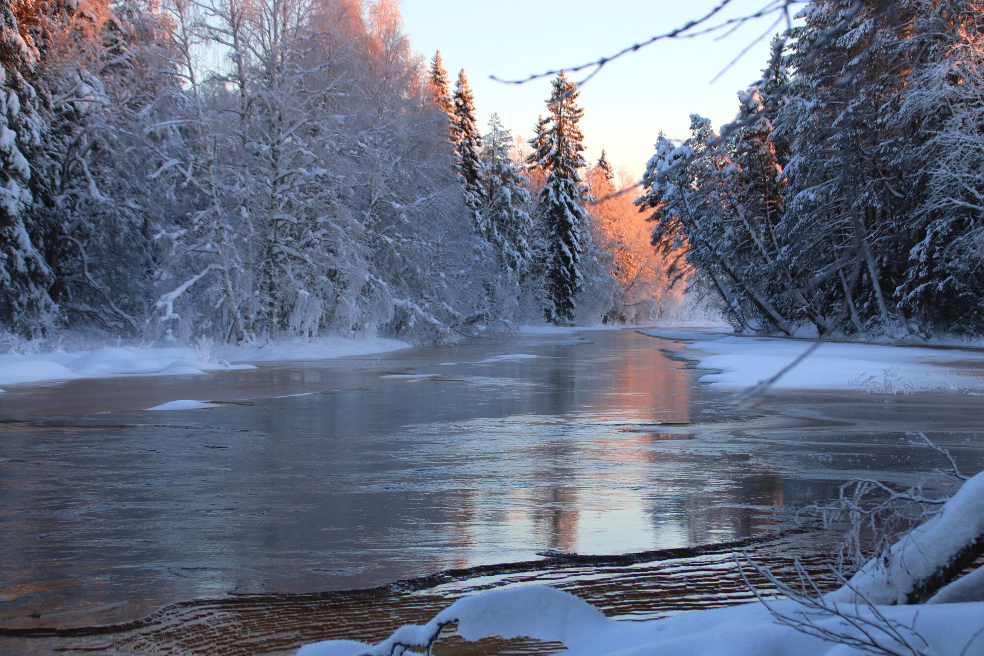 Valokuvaaja: Tuukka Pahtamaa