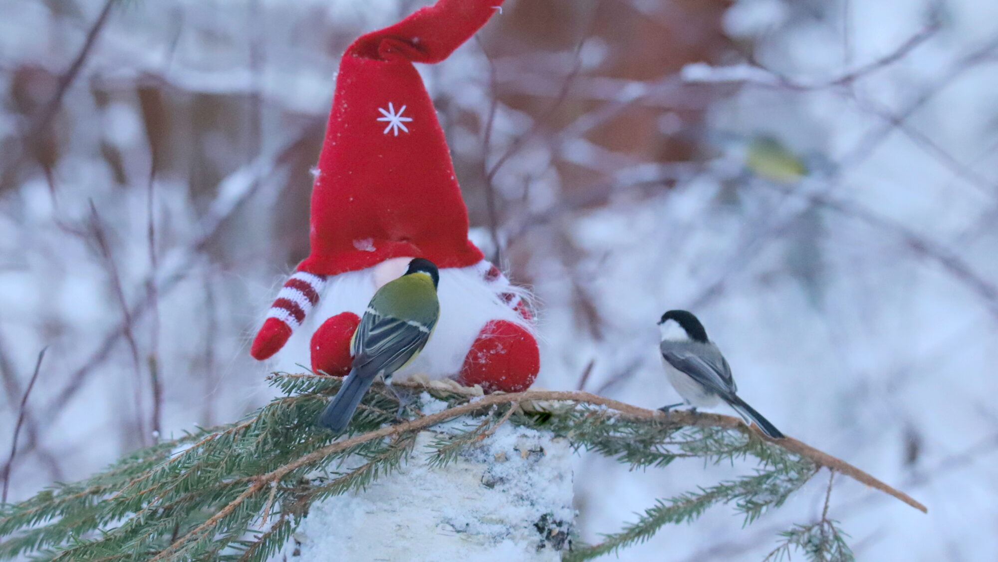 Valokuvaaja: sirpa Jyske
