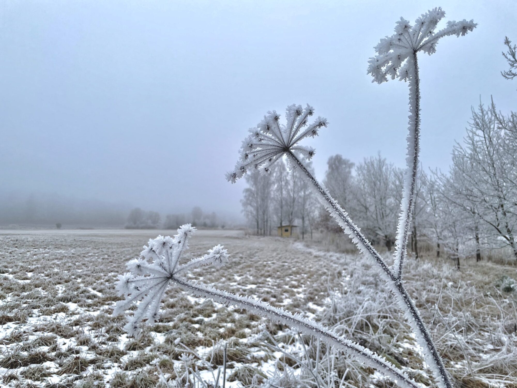 Valokuvaaja: Juhani Peltonen