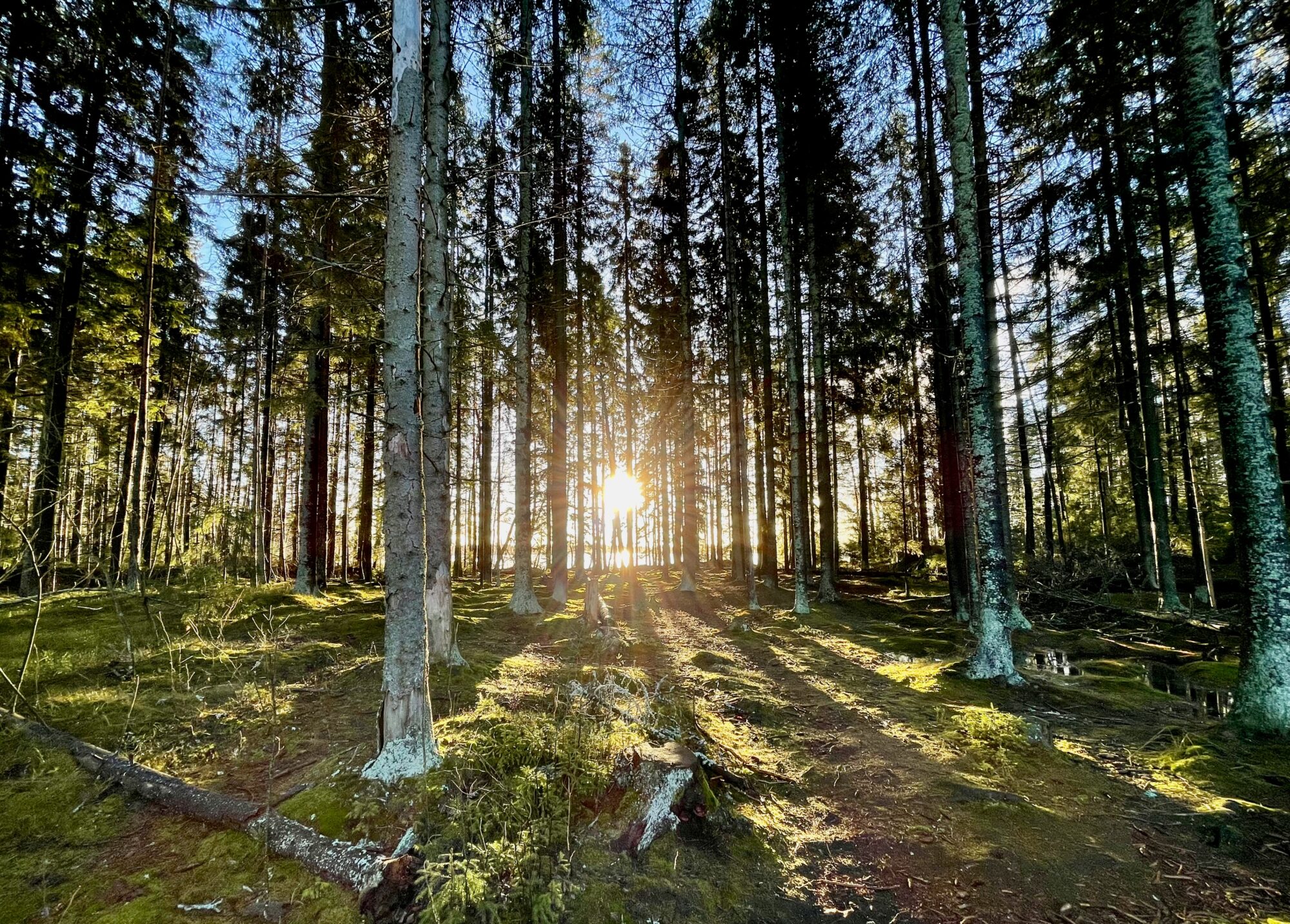 Valokuvaaja: Juhani Peltonen Valokuvaaja: Juhani Peltonen